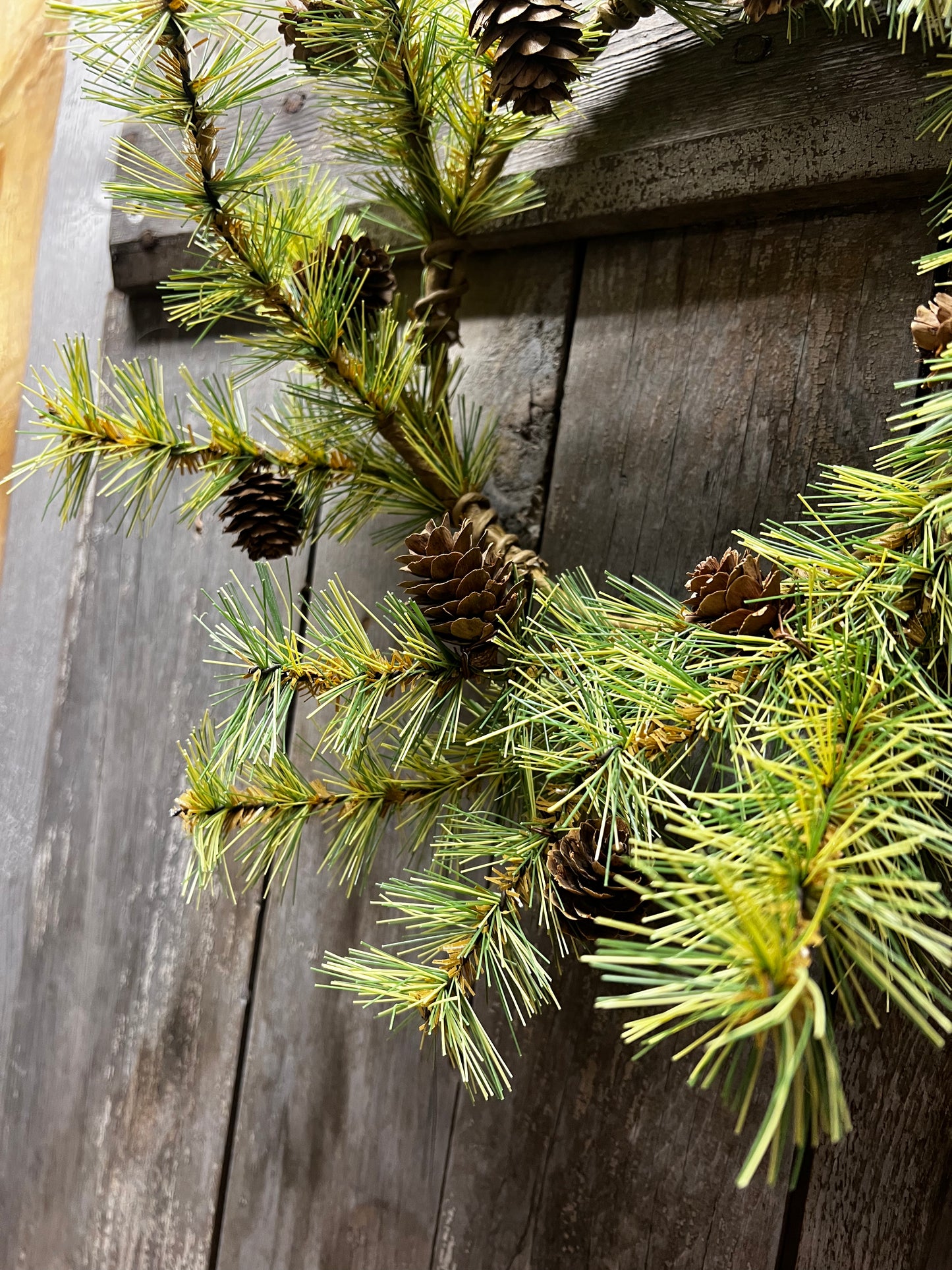 Candle Ring, 6.5", HOLIDAY PINE