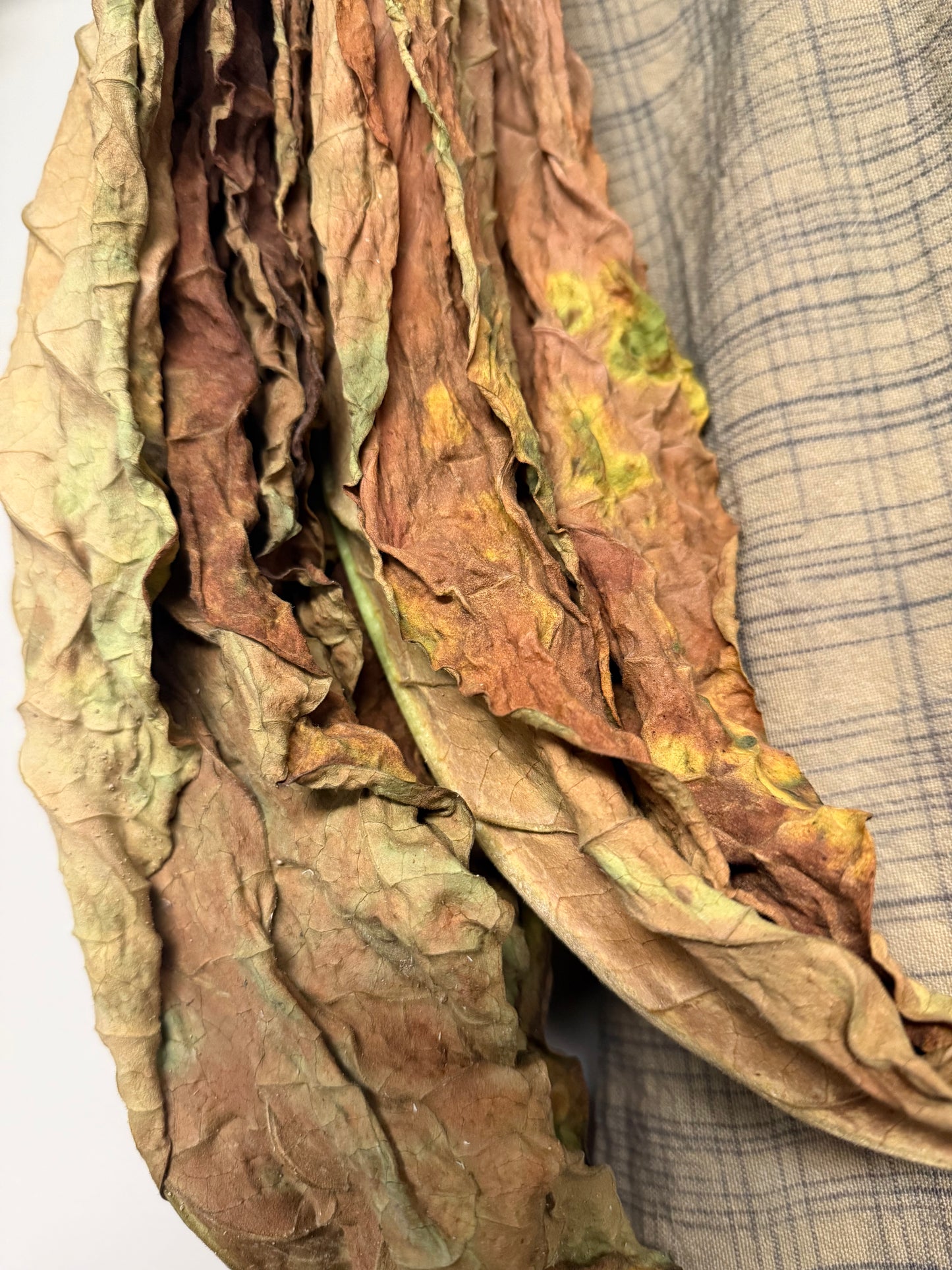 Decorative "HANKS", 2 Bundles (One Shown)