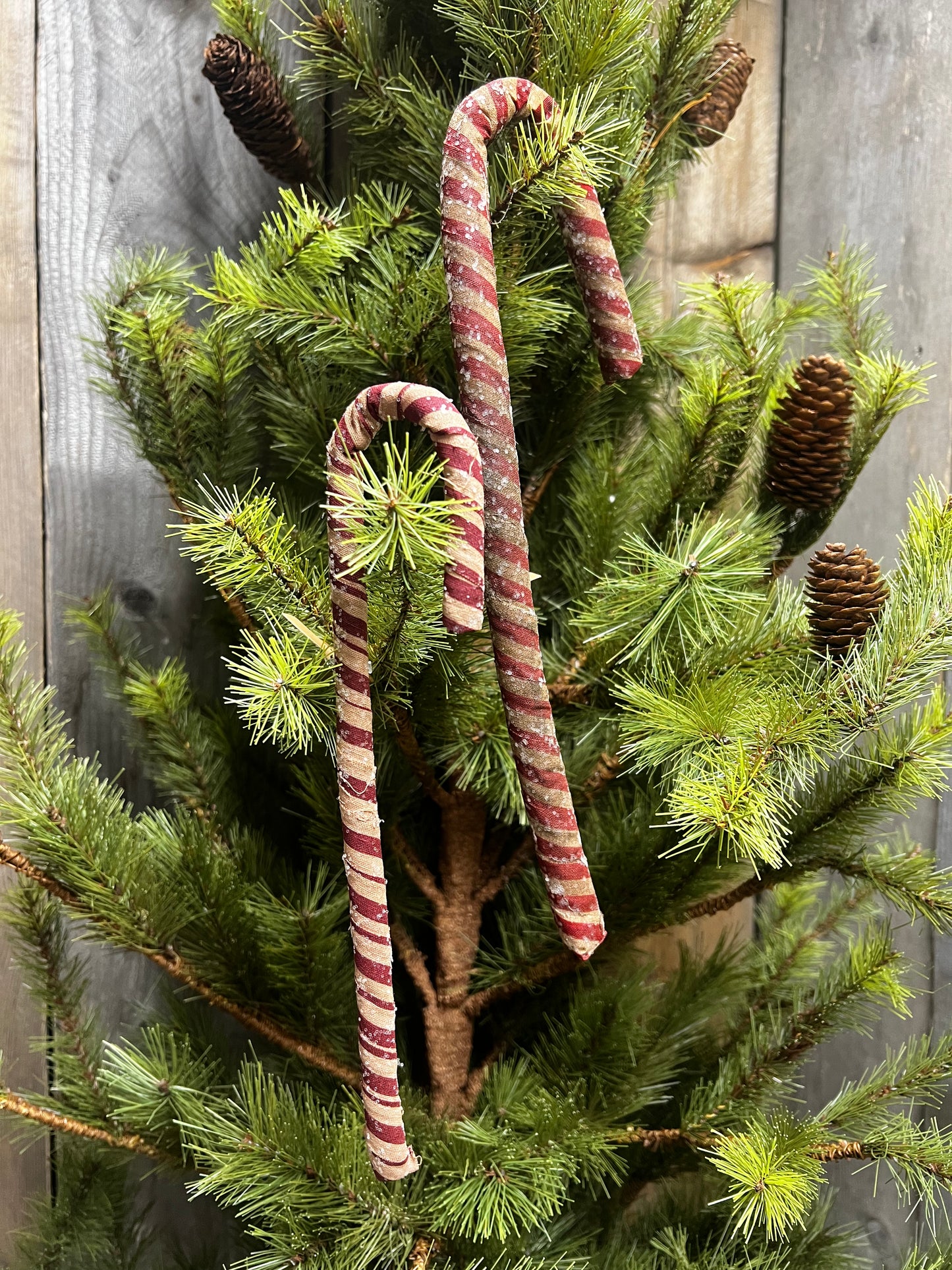 Candy Cane, ANTIQUE SPARKLE, 12" or 9"