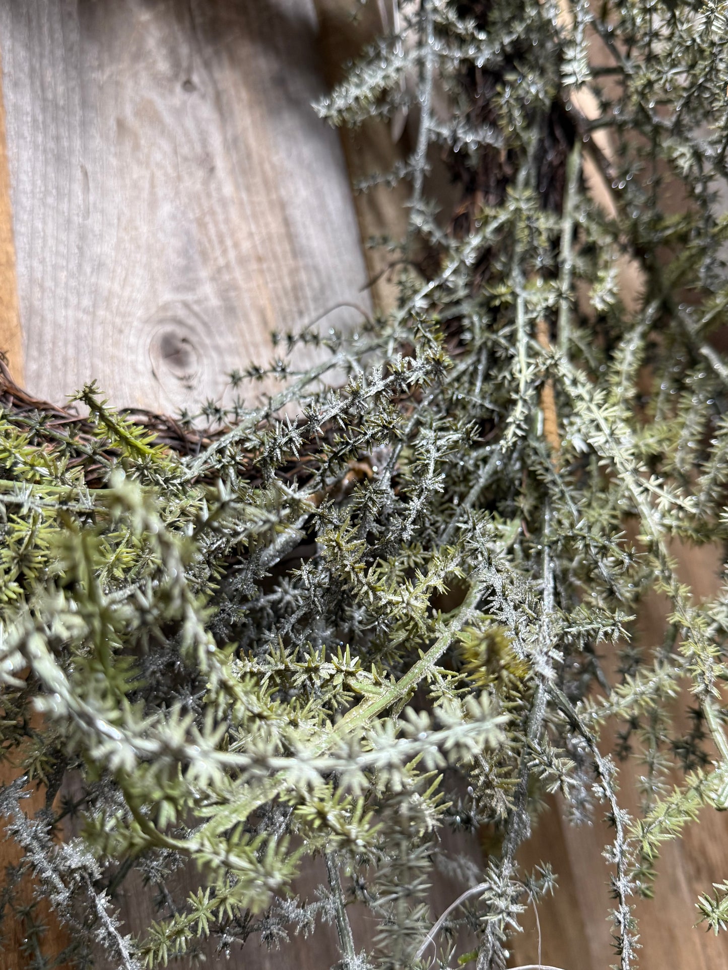 Wreath, 28", RUSSIAN THISTLE