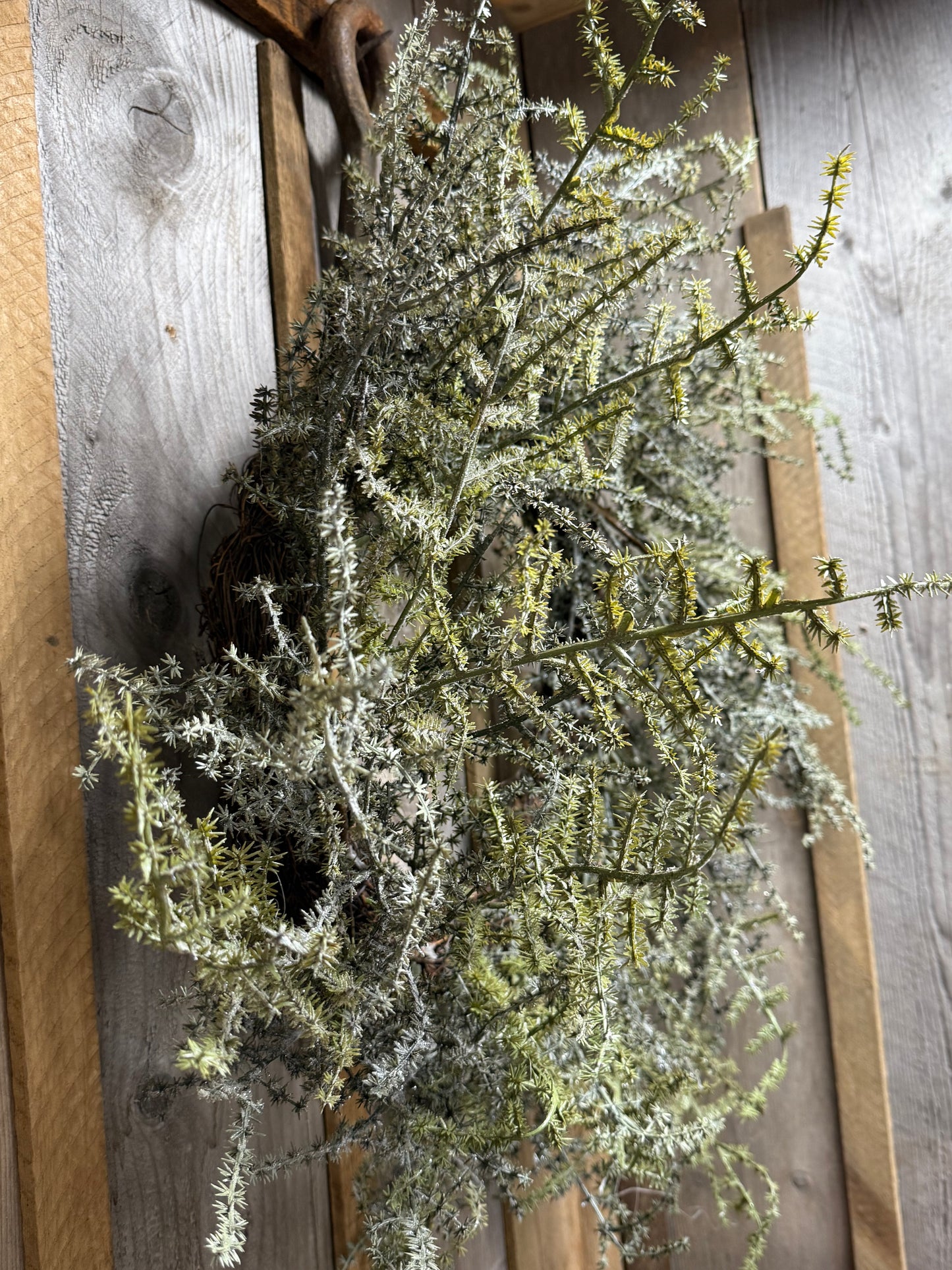 Wreath, 28", RUSSIAN THISTLE