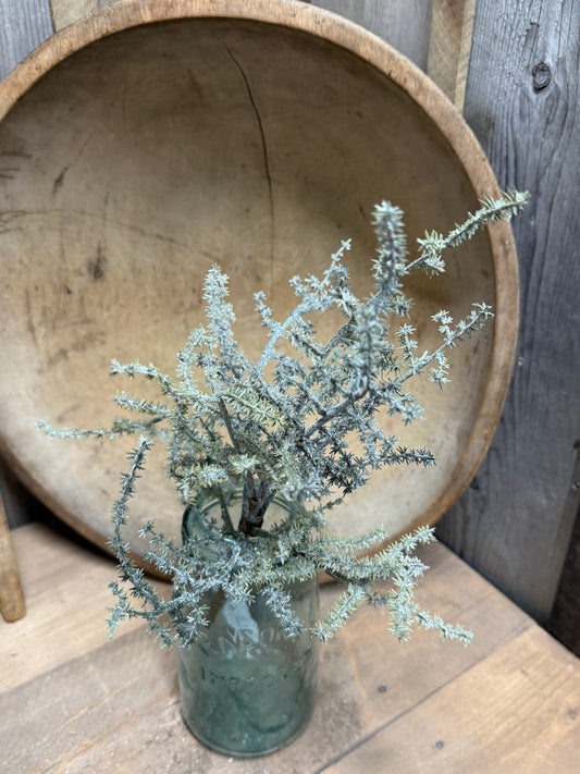 Pick, 15", RUSSIAN THISTLE