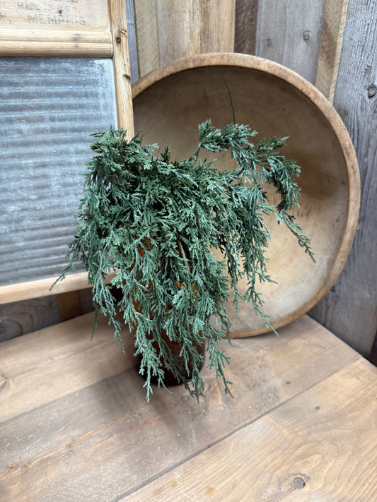 Pick, 17.5", DARK GREEN JUNIPER