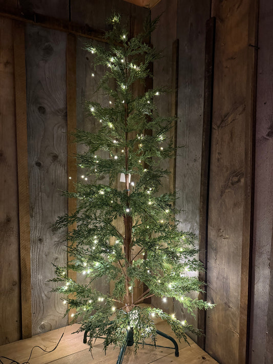 Tree, AIRY, 4' or 6'