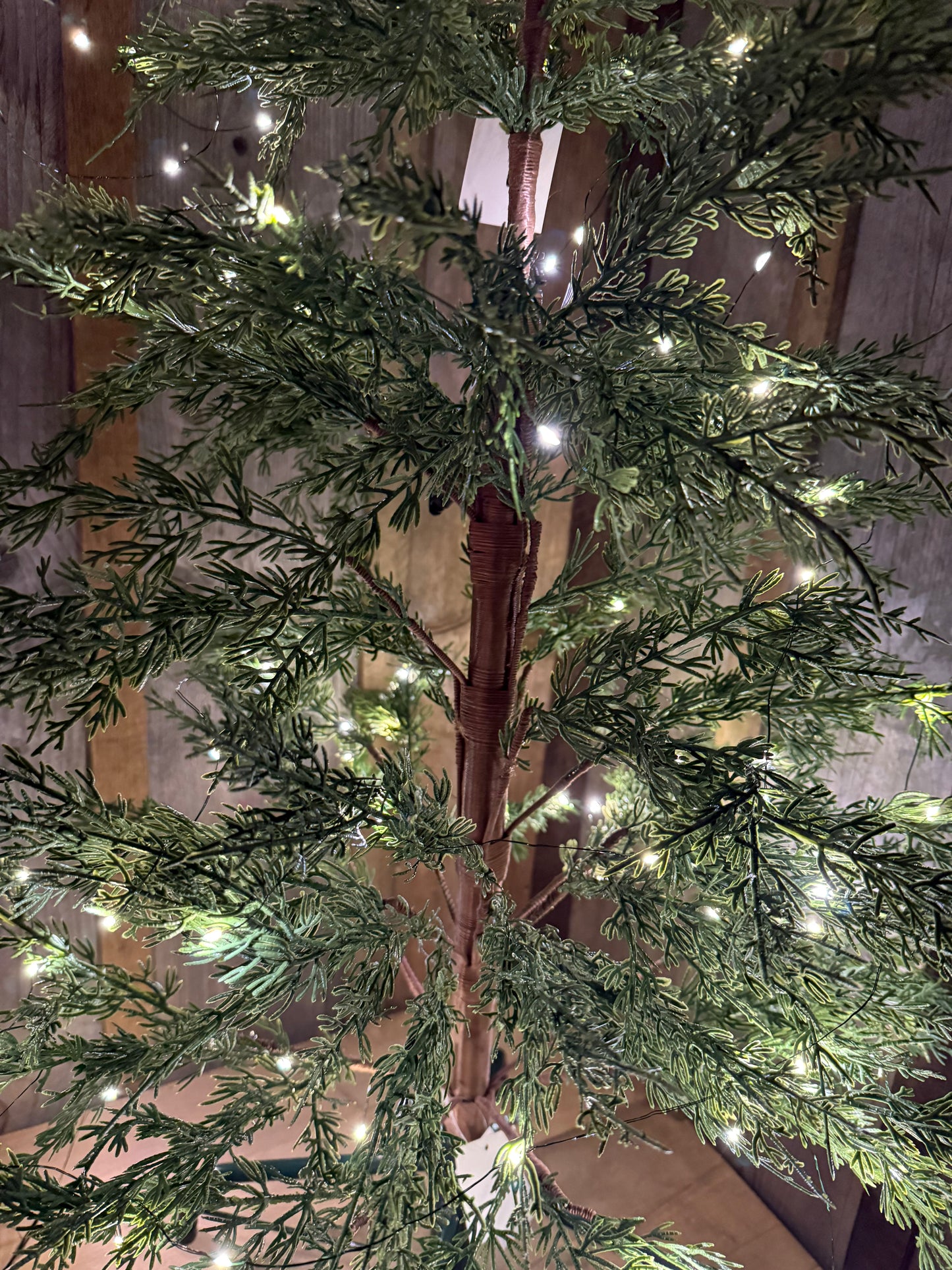 Tree, AIRY, 4' or 6'