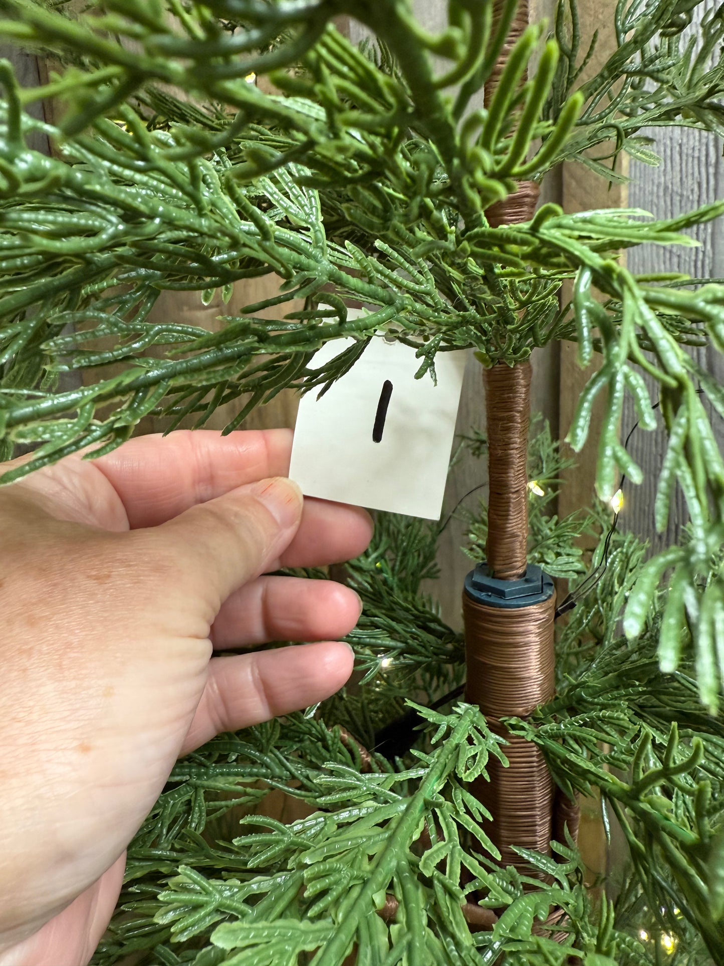 Tree, AIRY, 4' or 6'