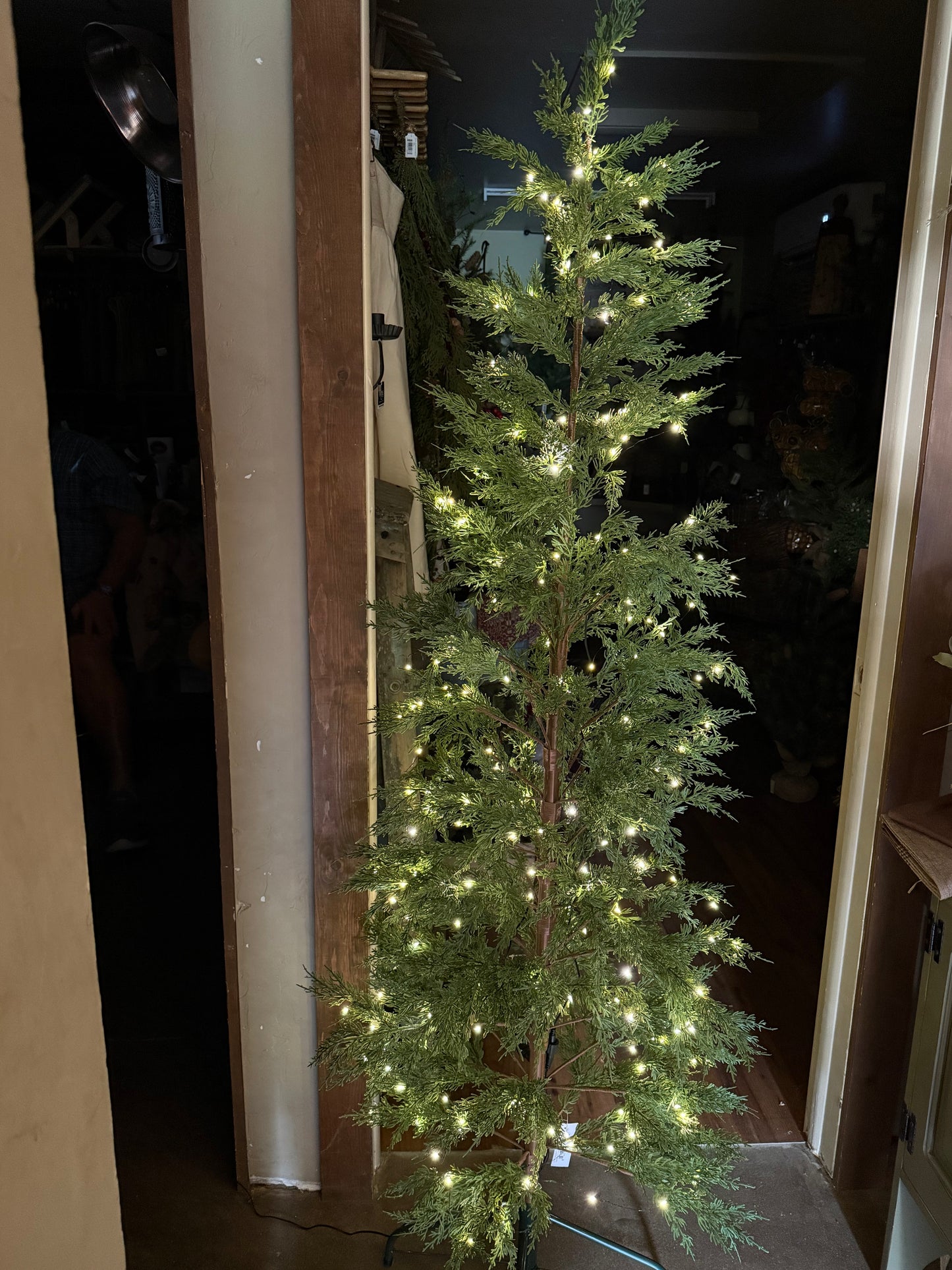 Tree, AIRY, 4' or 6'