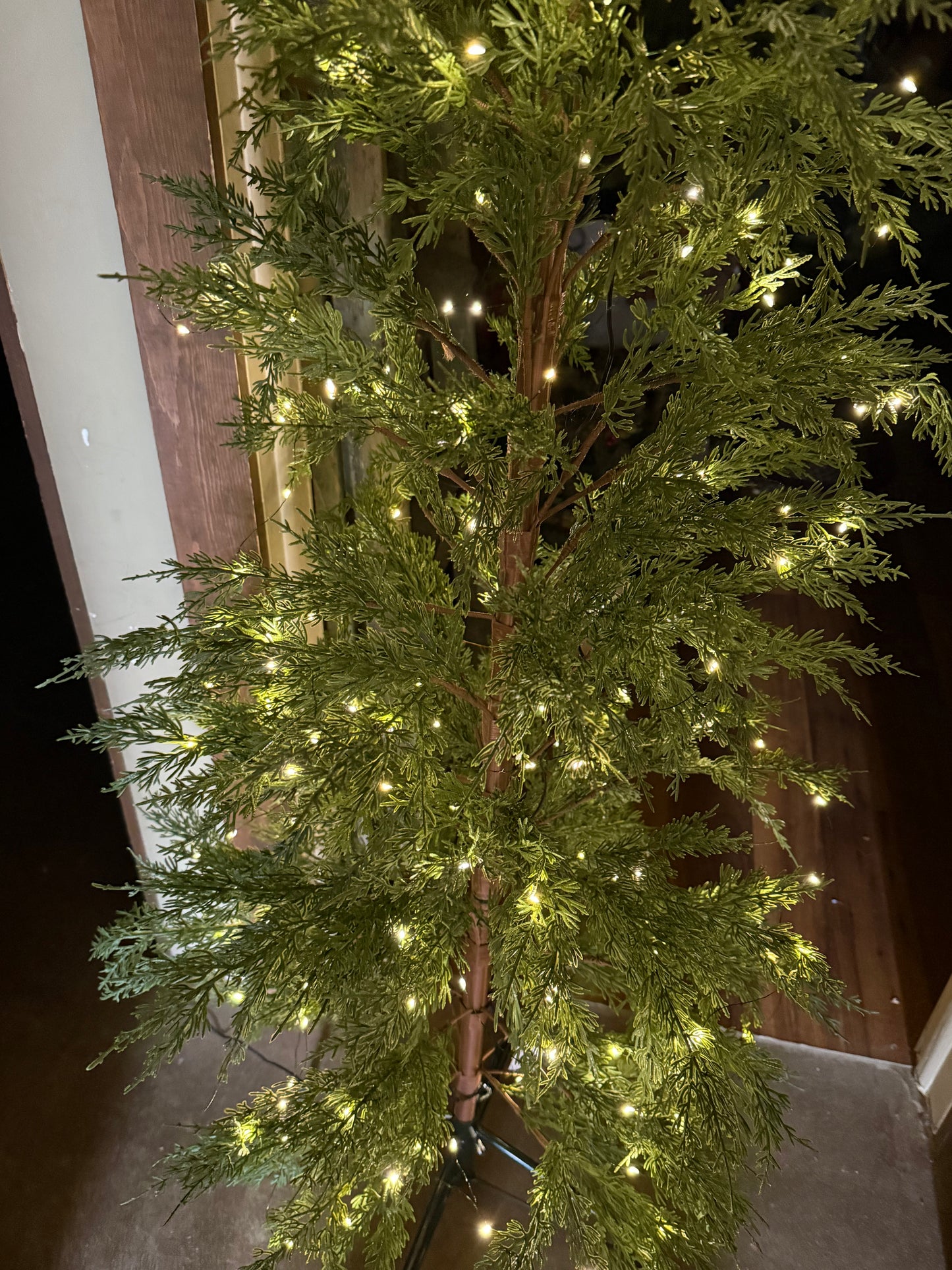Tree, AIRY, 4' or 6'