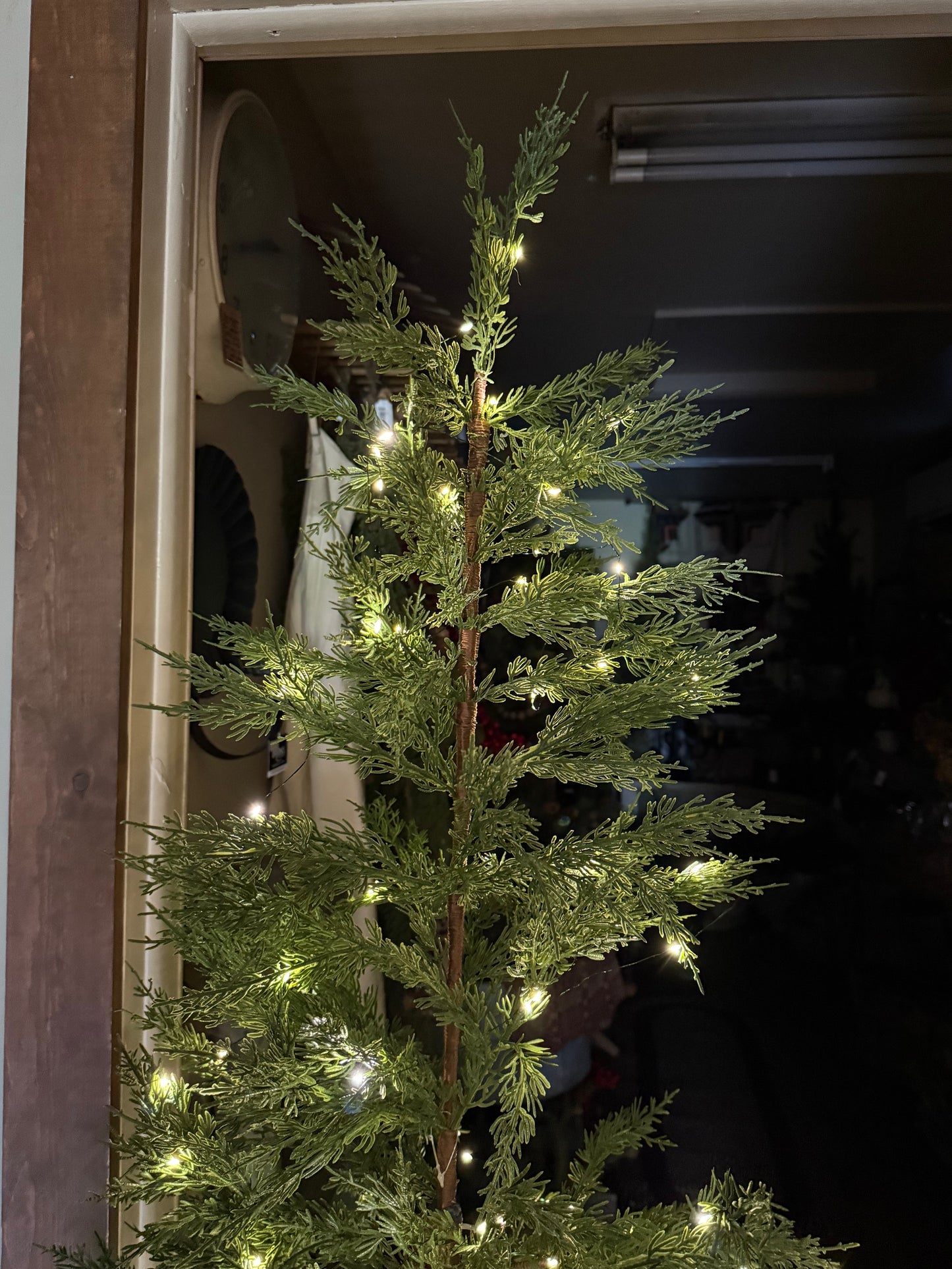 Tree, AIRY, 4' or 6'