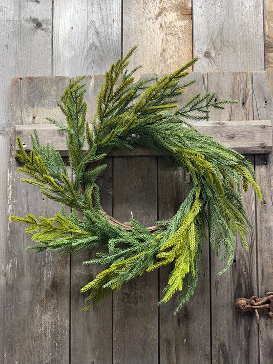 Wreath, 21” Overall, FRESH TOUCH NORFOLK PINE