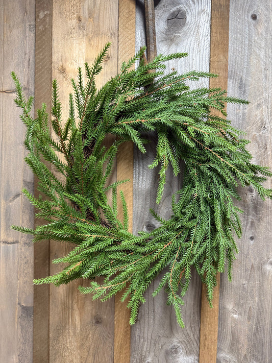 Wreath 20" Overall, SOFT TOUCH NORFOLK PINE