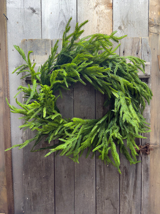 Wreath, 24” NATURAL TOUCH NORFOLK PINE