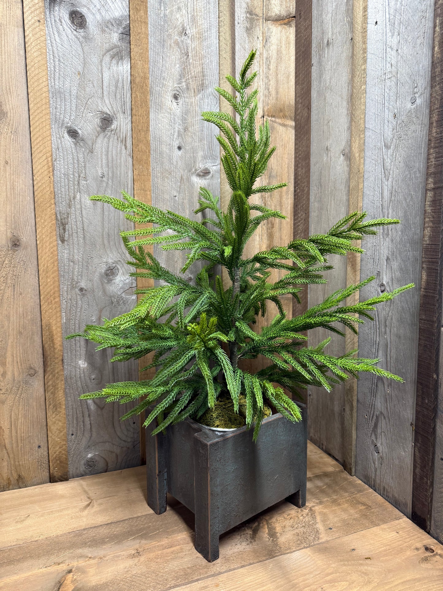 Tree Box, Grungy, SMALL or LARGE