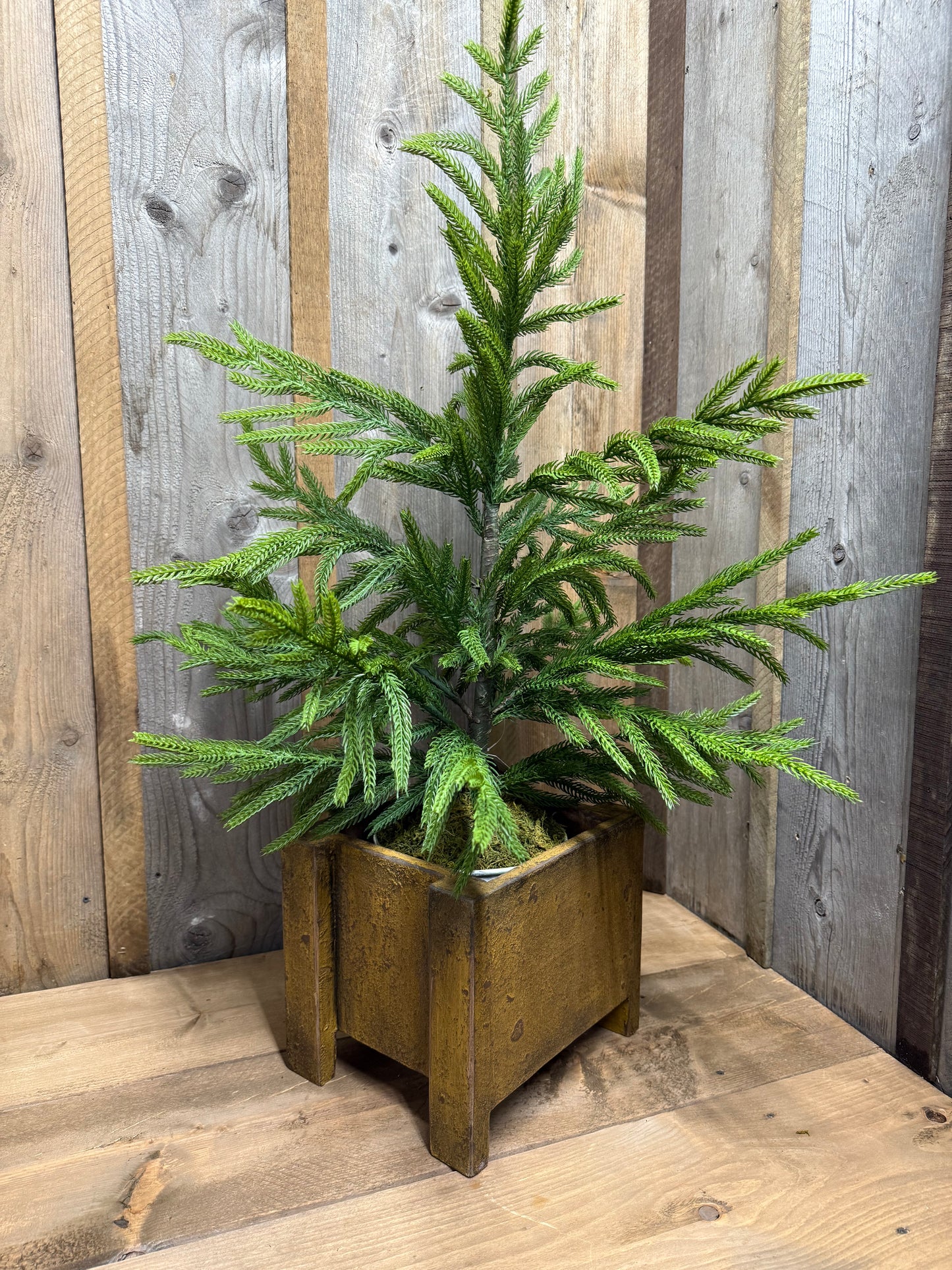 Tree Box, Grungy, SMALL or LARGE