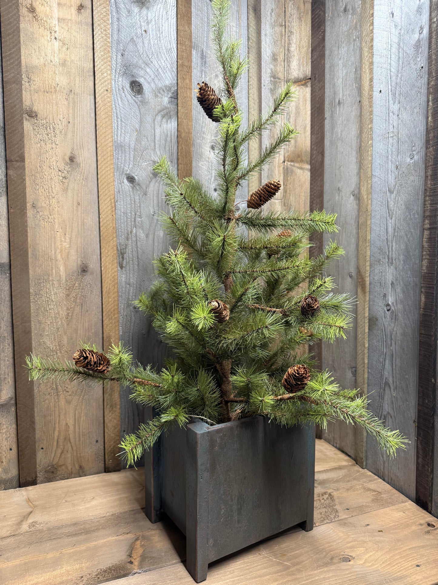 Tree Box, Grungy, SMALL or LARGE