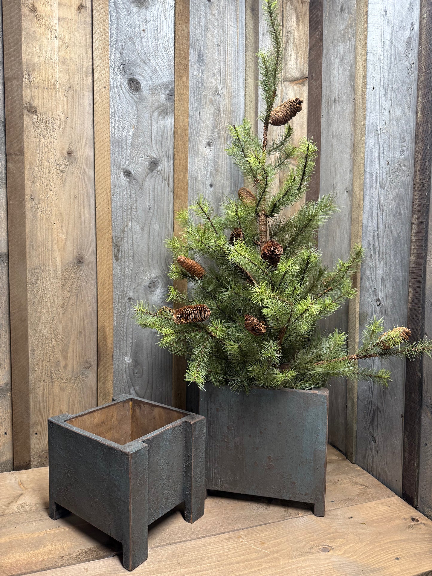 Tree Box, Grungy, SMALL or LARGE