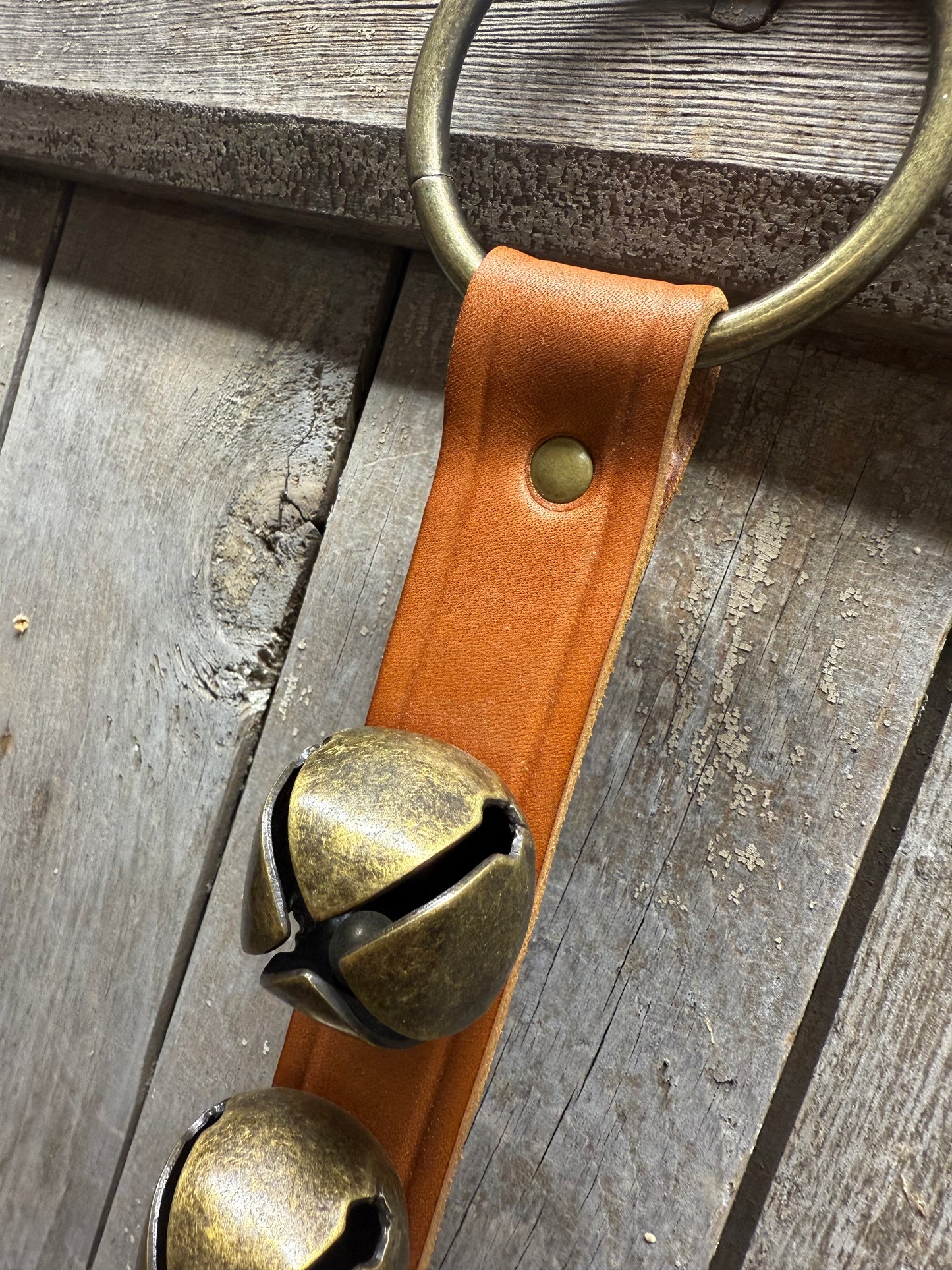 5 Bell Strap, CAMEL/ANTIQUE BRASS
