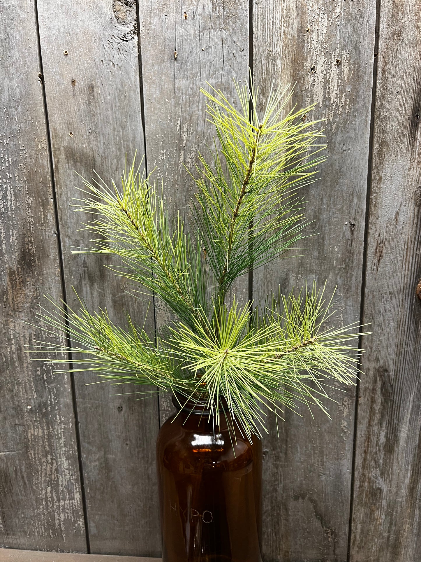 Spray, 21", STONE PINE