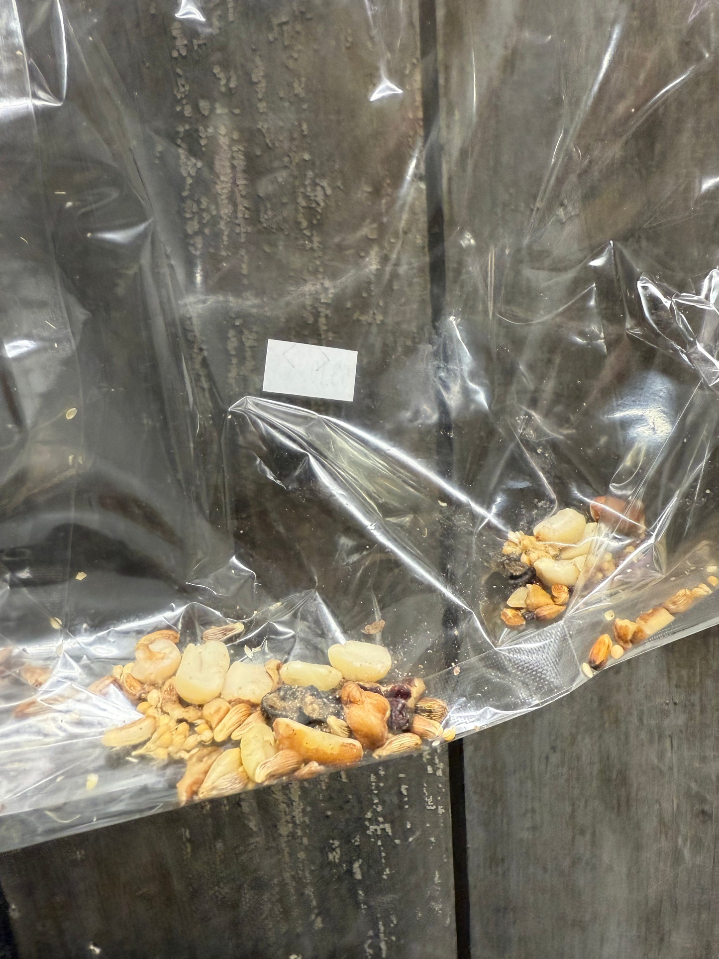 Birdseed Wreath, 6”, RUSTIC