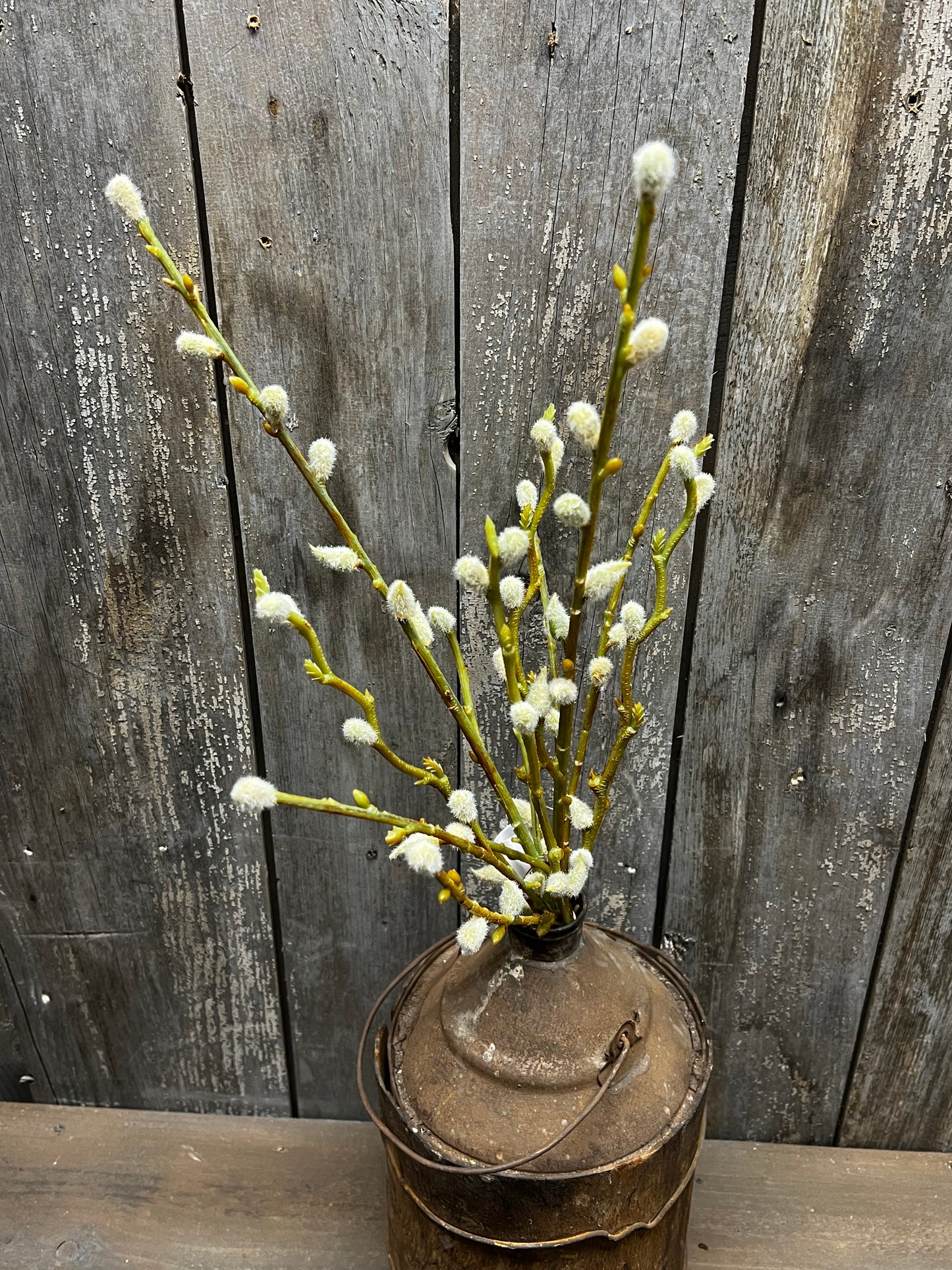 Bouquet, PUSSY WILLOW