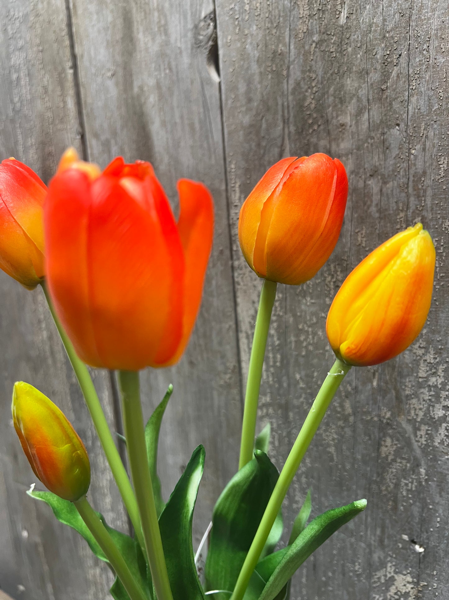 Bunch, Real Feel Tulips, TANGERINE