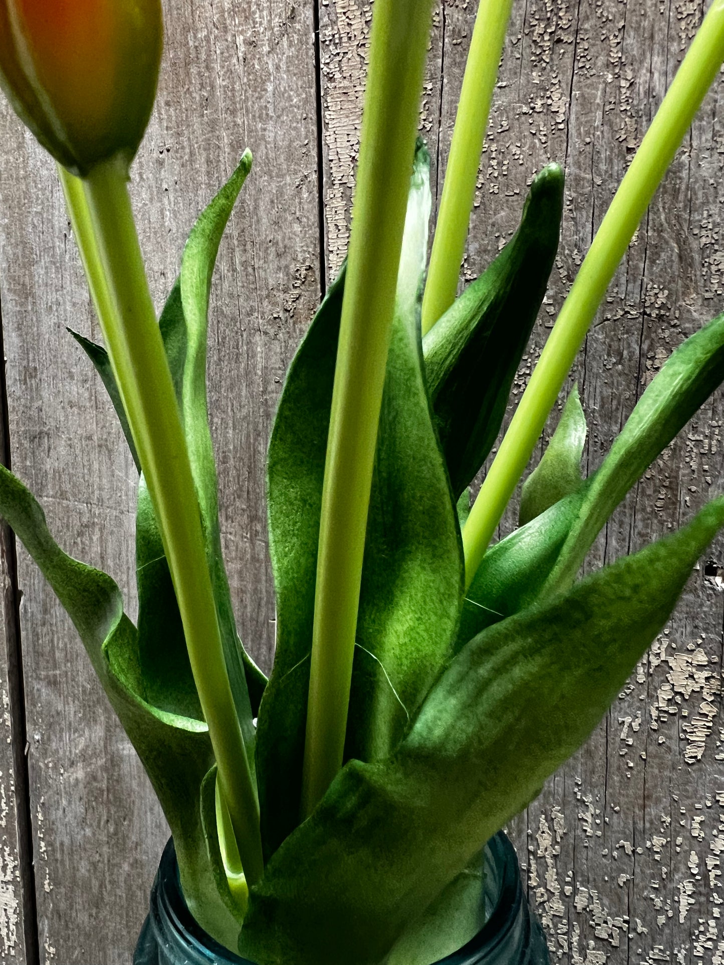 Bunch, Real Feel Tulips, TANGERINE