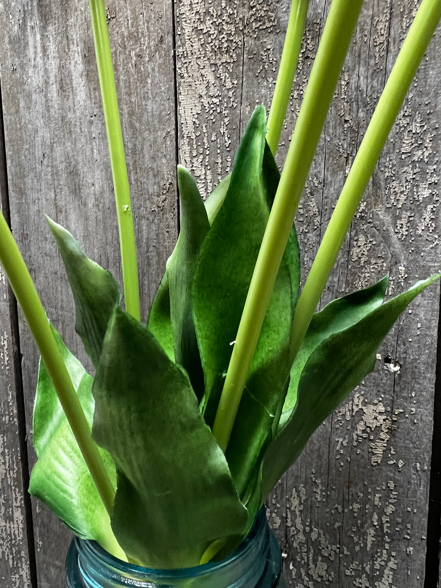 Bunch, Real Feel Tulips, YELLOW