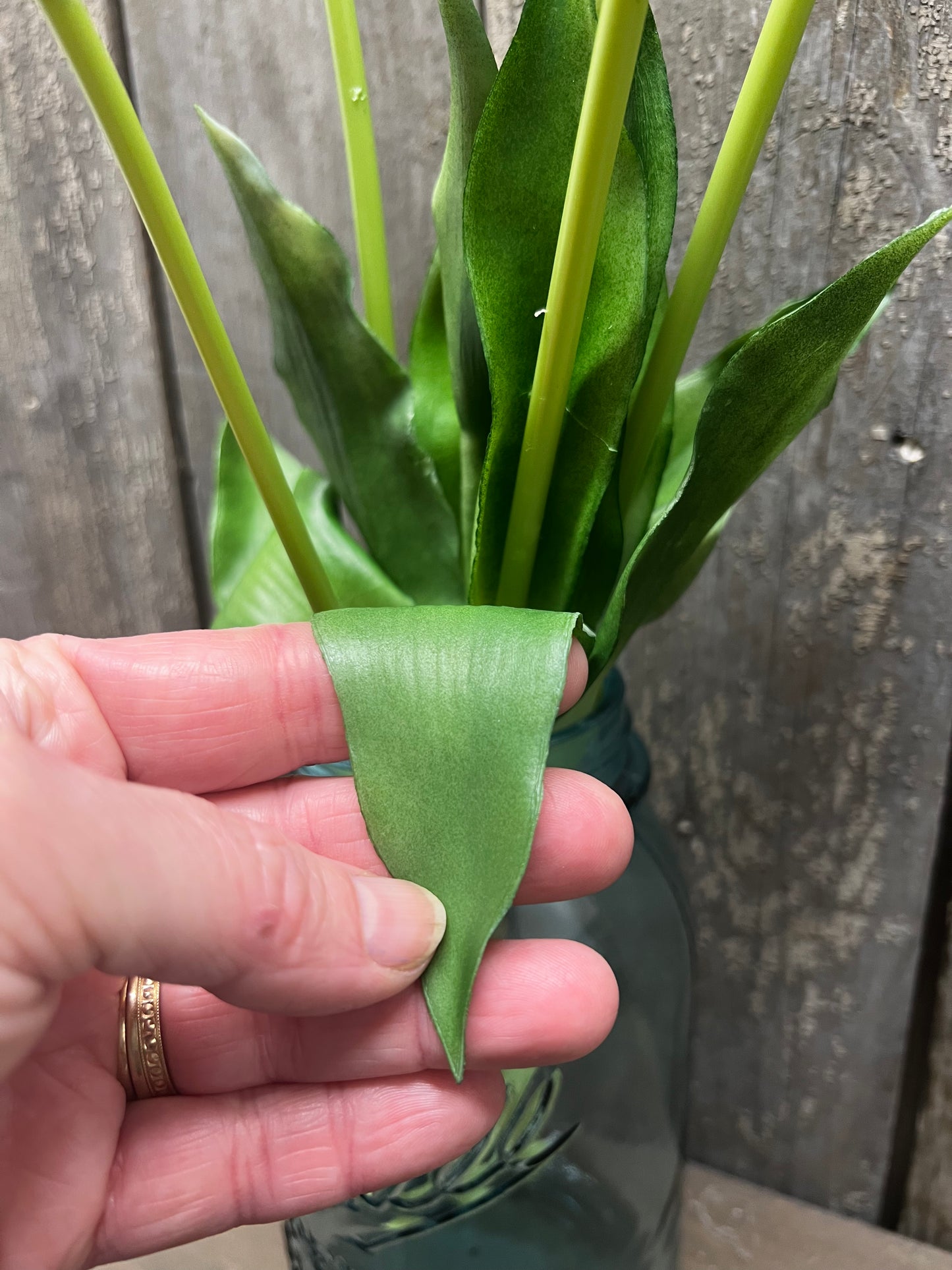 Bunch, Real Feel Tulips, TANGERINE