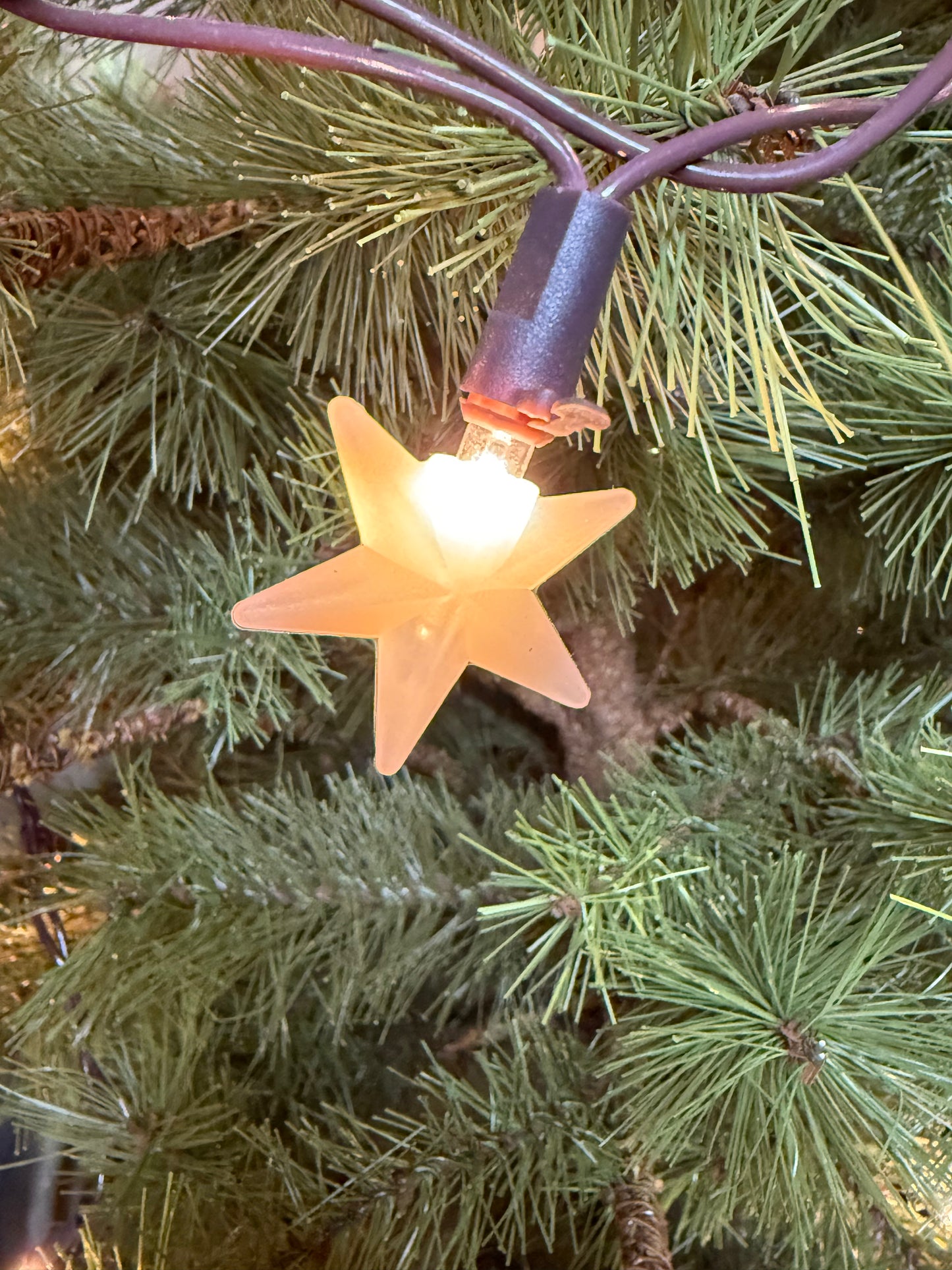 Bulb Covers, Set/24, MINI SILICONE STARS