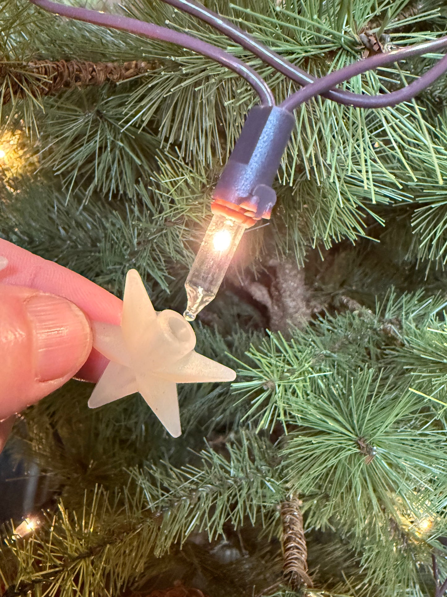 Bulb Covers, Set/24, MINI SILICONE STARS