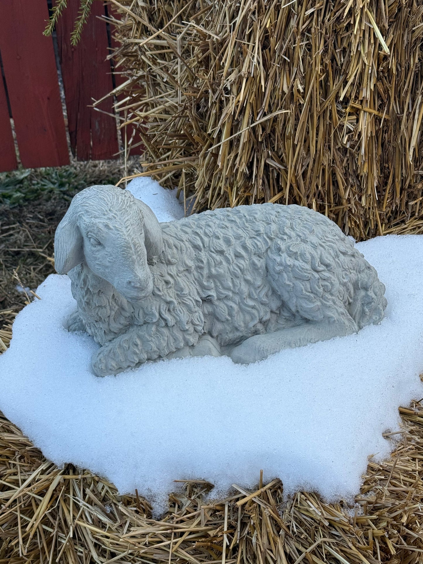 LAMB, Concrete….NO SHIPPING