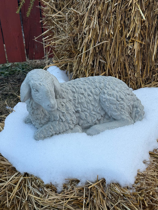 LAMB, Concrete….NO SHIPPING