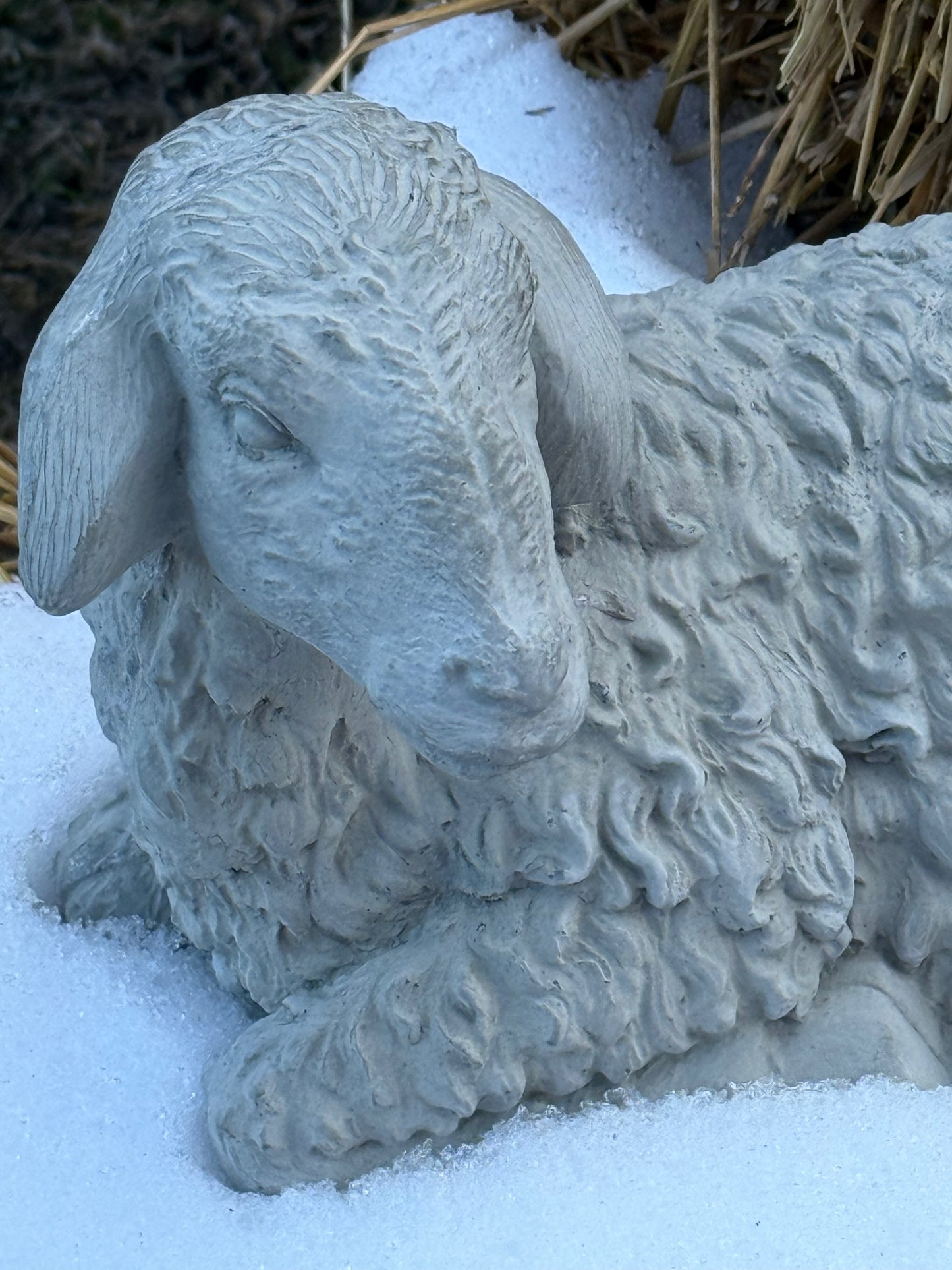 LAMB, Concrete….NO SHIPPING