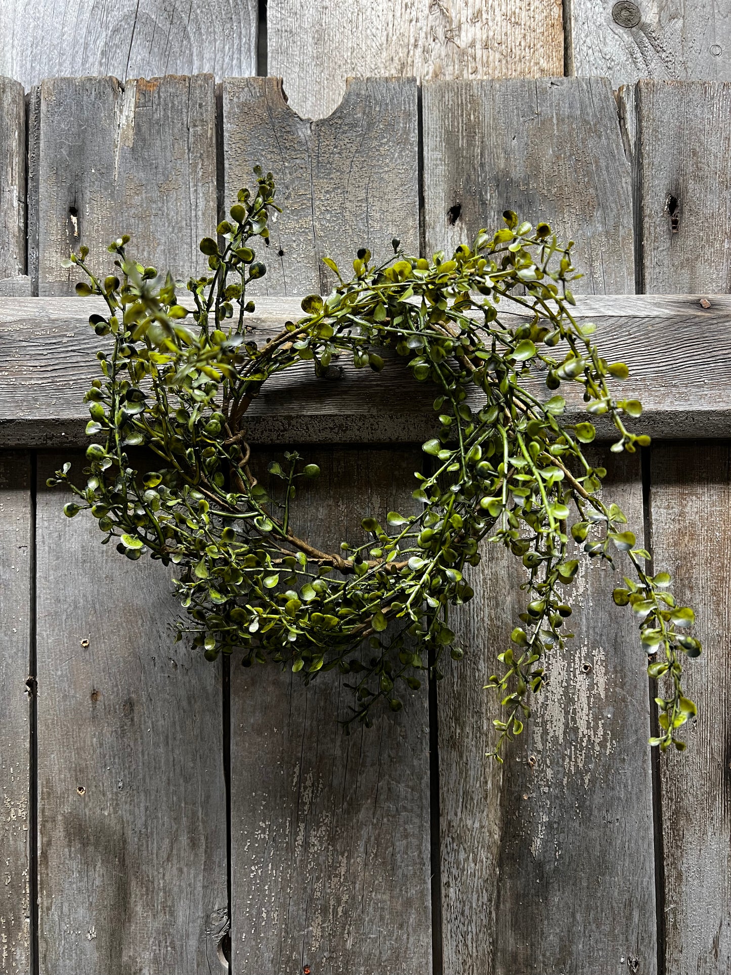 Candle Ring, 4.5", PEPPERGRASS