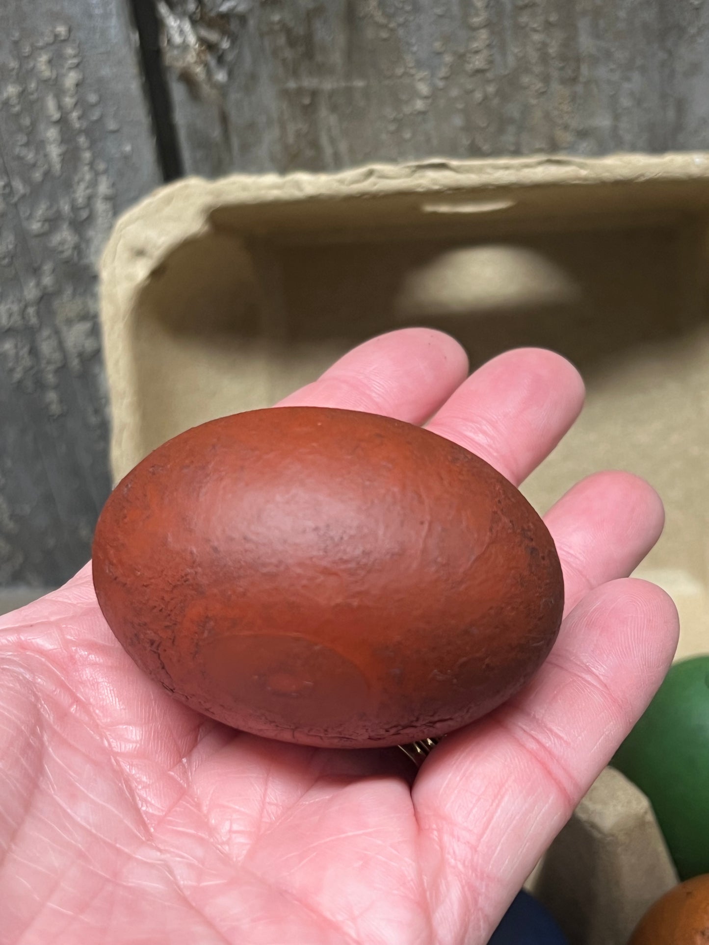 Wooden Eggs, Set/6, Grungy, COLORED