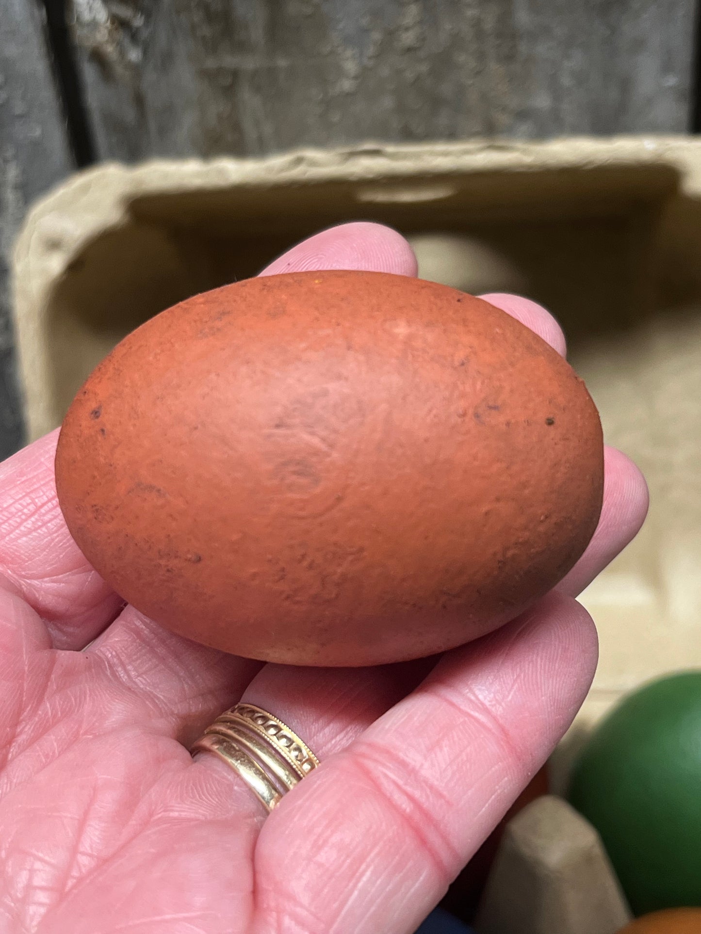 Wooden Eggs, Set/6, Grungy, COLORED