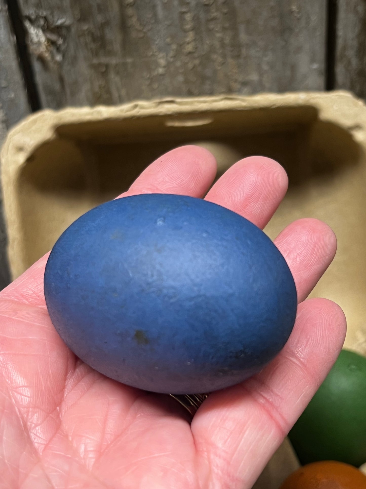 Wooden Eggs, Set/6, Grungy, COLORED