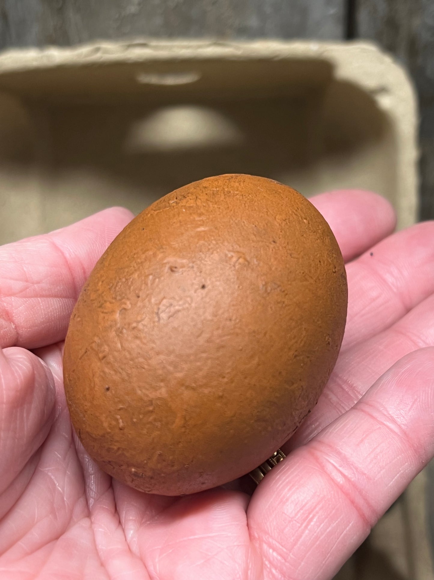 Wooden Eggs, Set/6, Grungy, COLORED