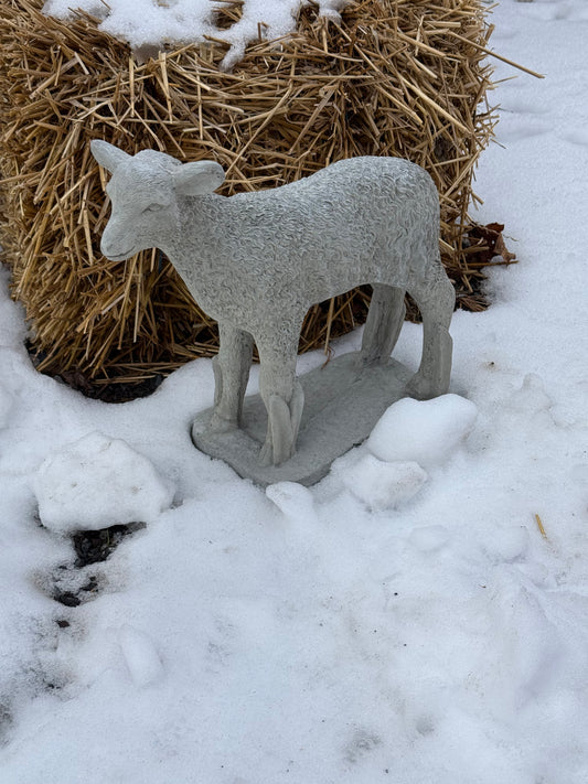 STANDING LAMB, Concrete….NO SHIPPING