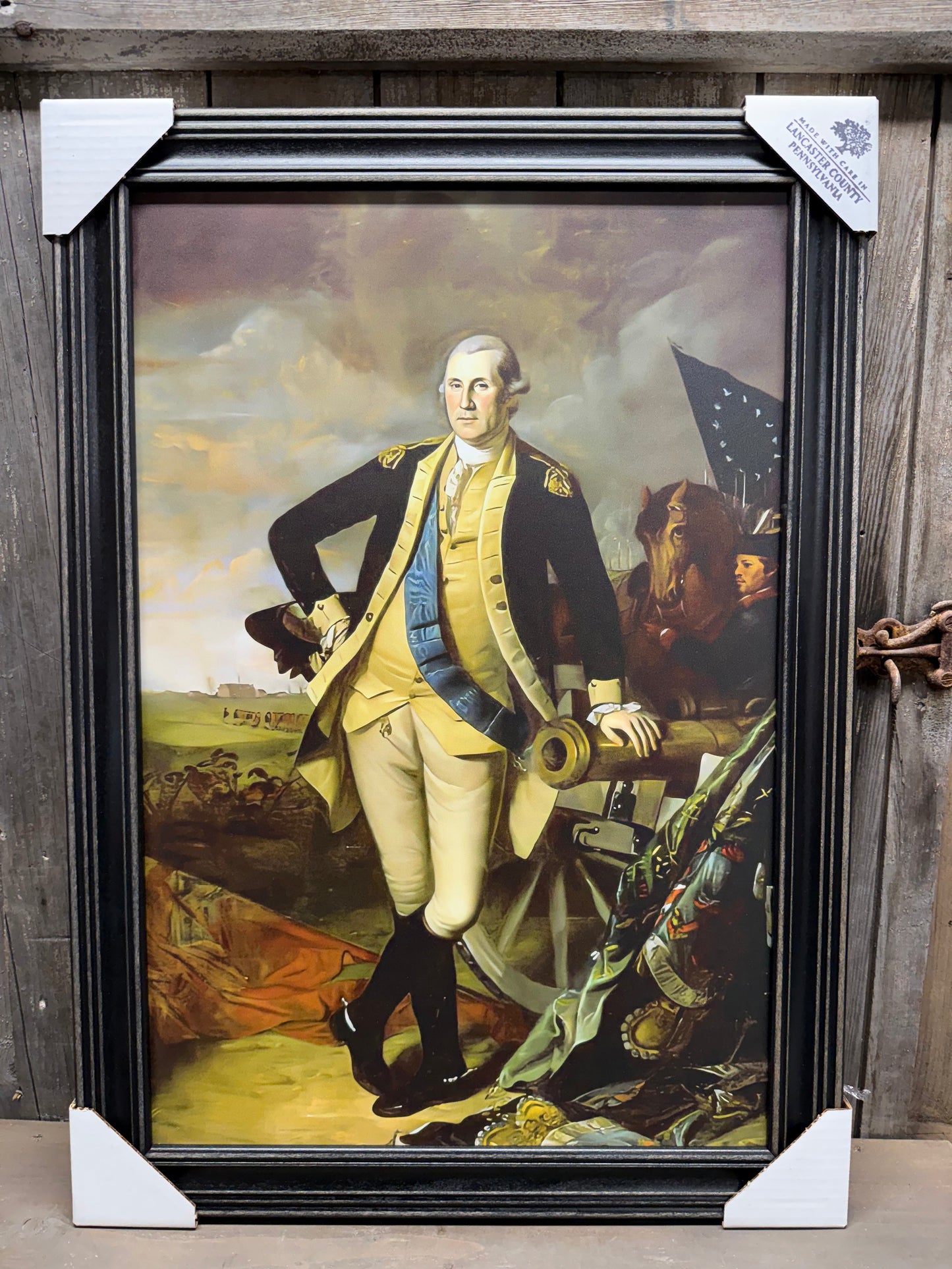 Framed Art, 16x24, GEORGE WASHINGTON AT PRINCETON