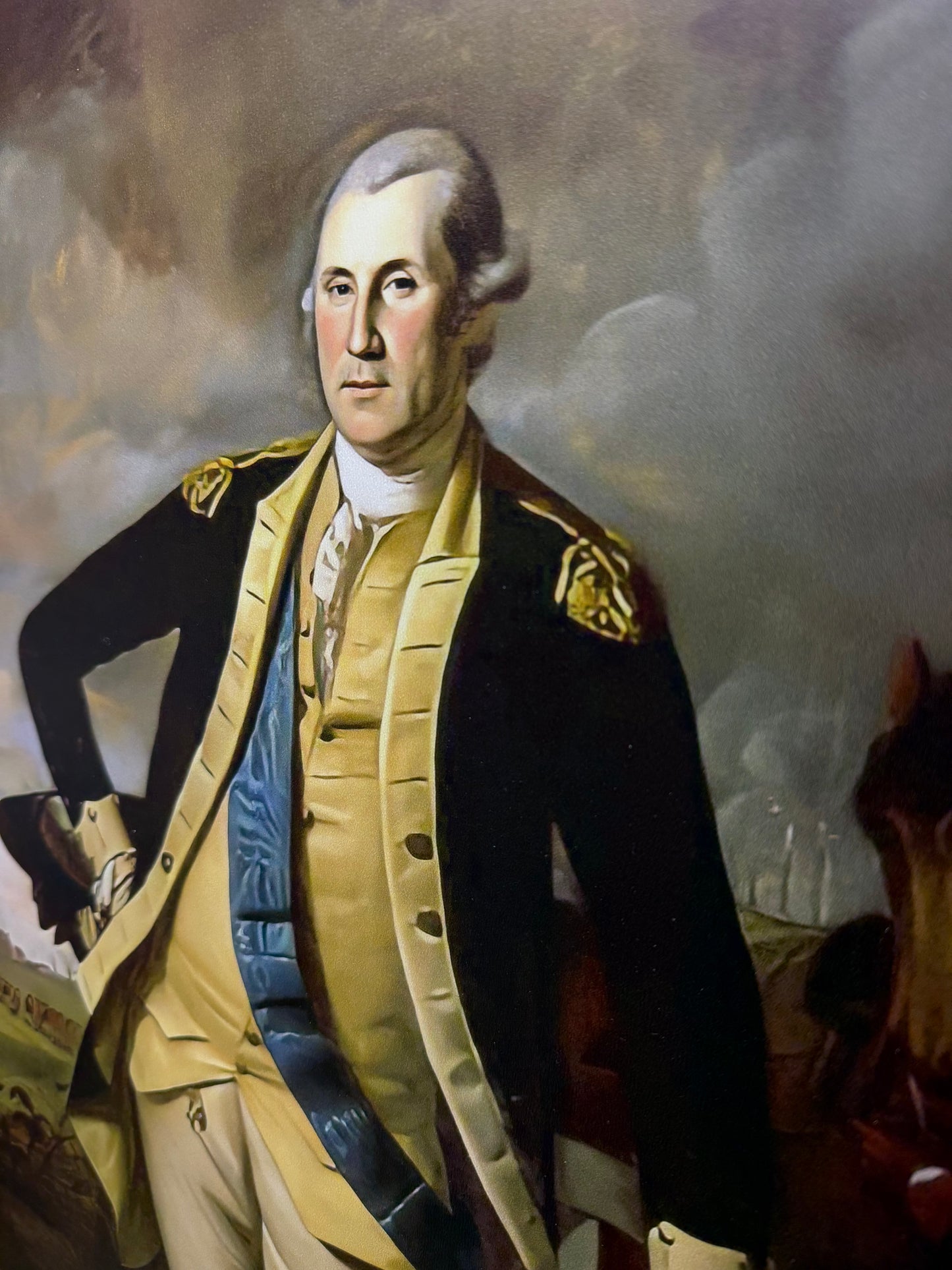 Framed Art, 16x24, GEORGE WASHINGTON AT PRINCETON