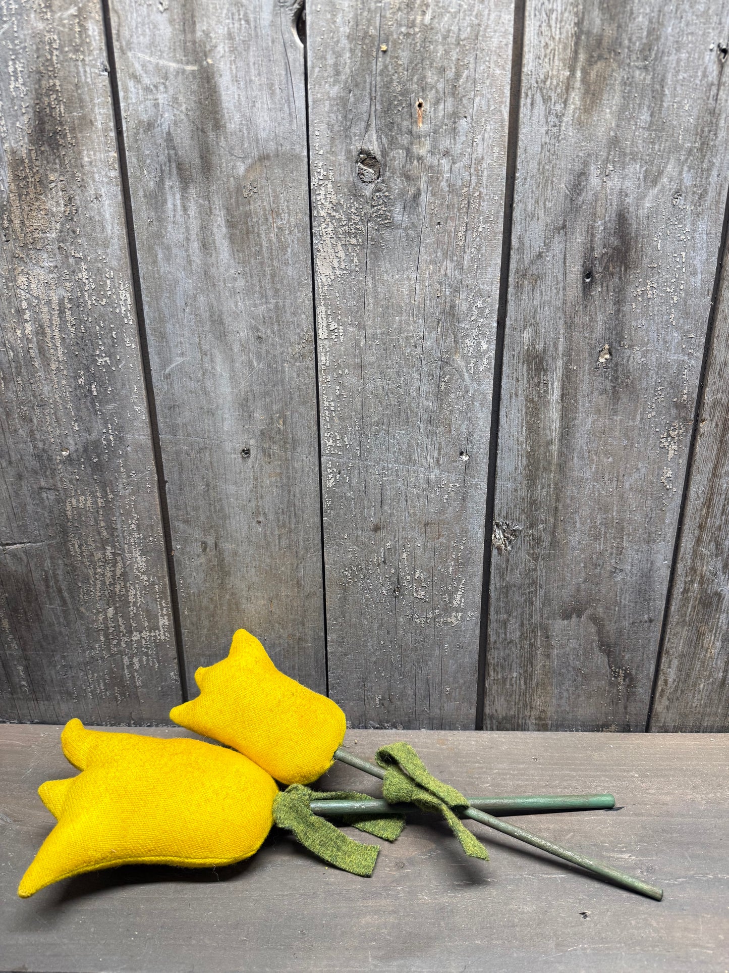 Tulips, Set/2, WOOL ASSORTED