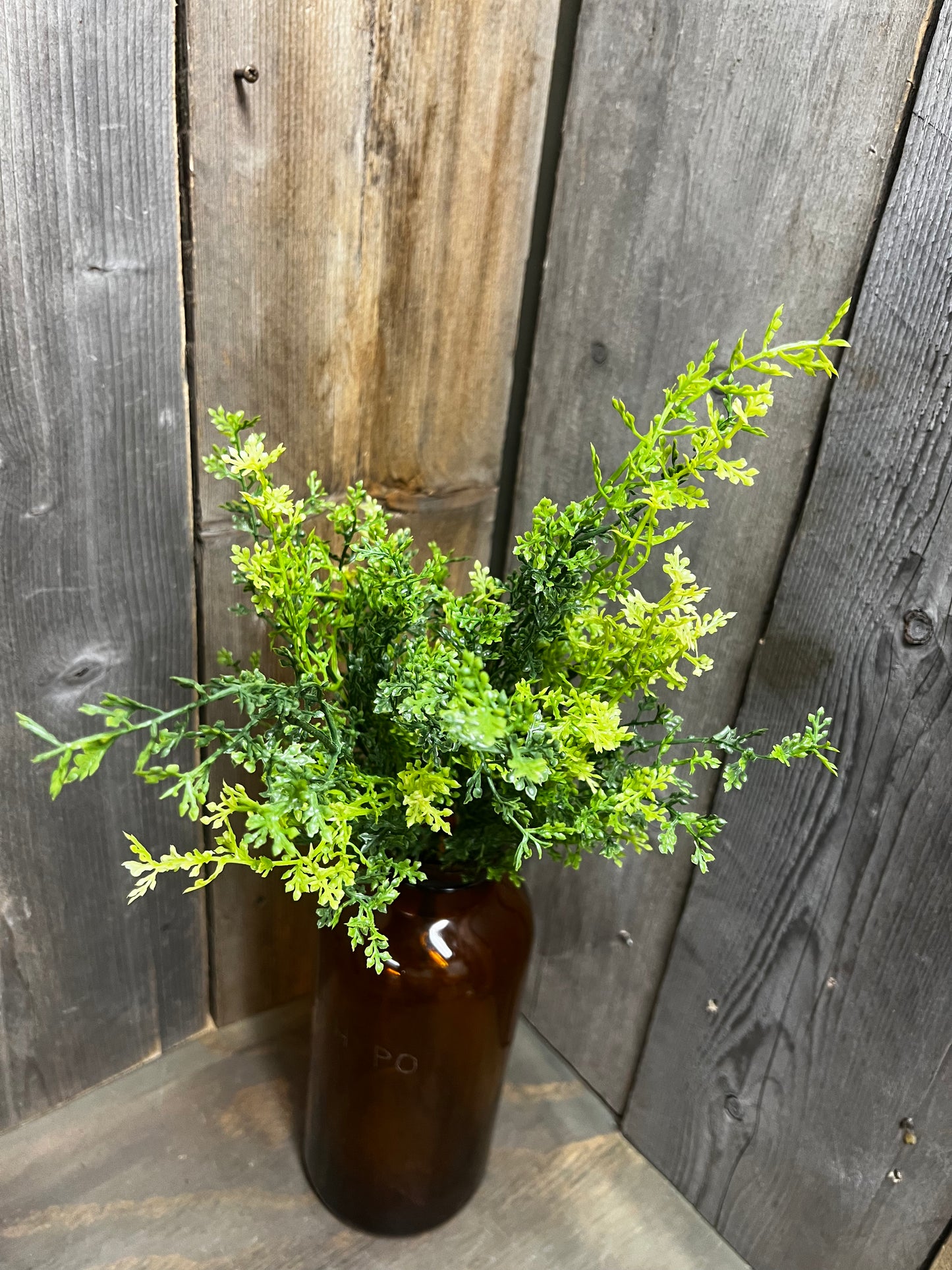Bush, 20", FUMALIA PLANT
