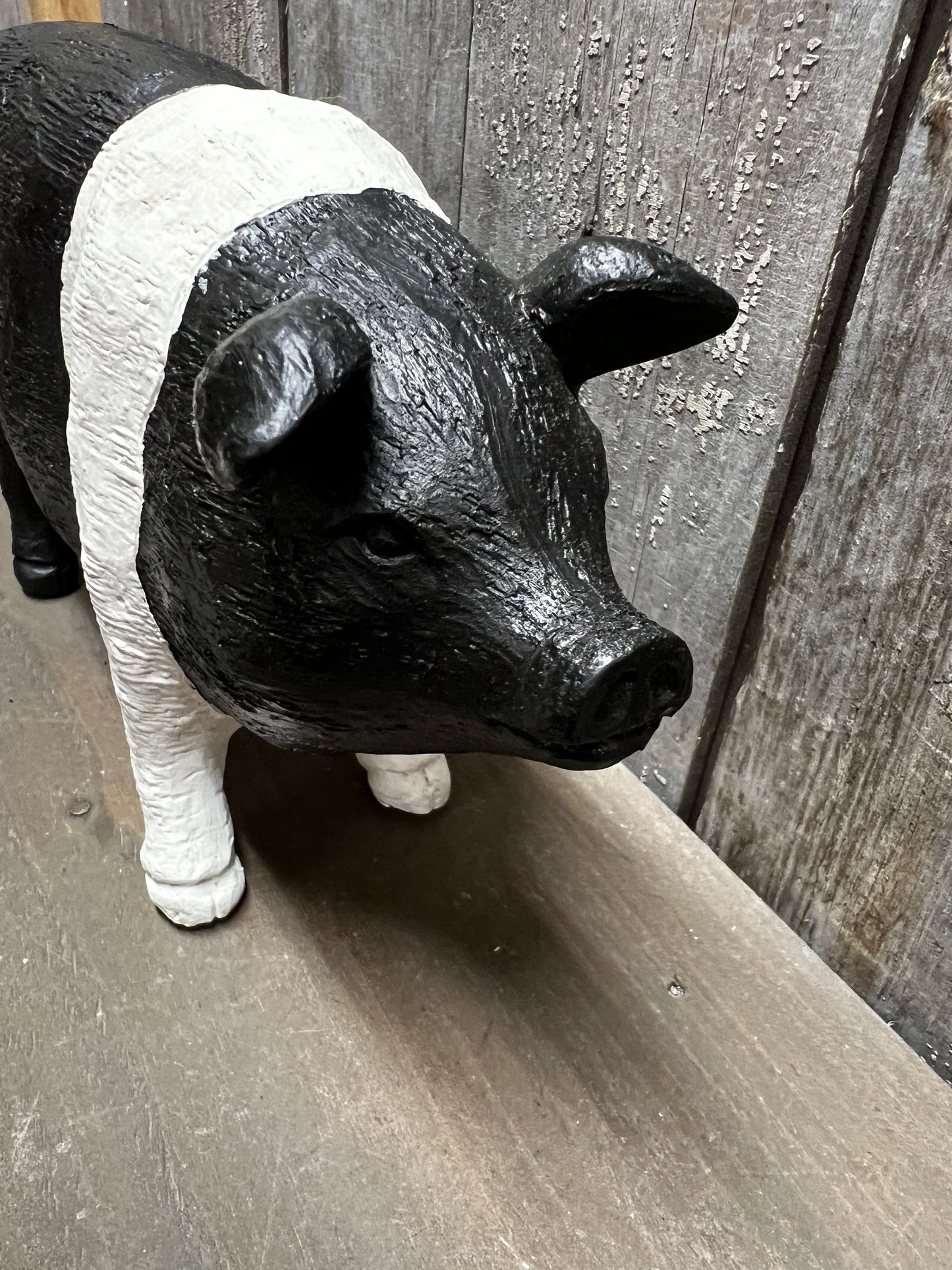 PIG, 9.5", Resin