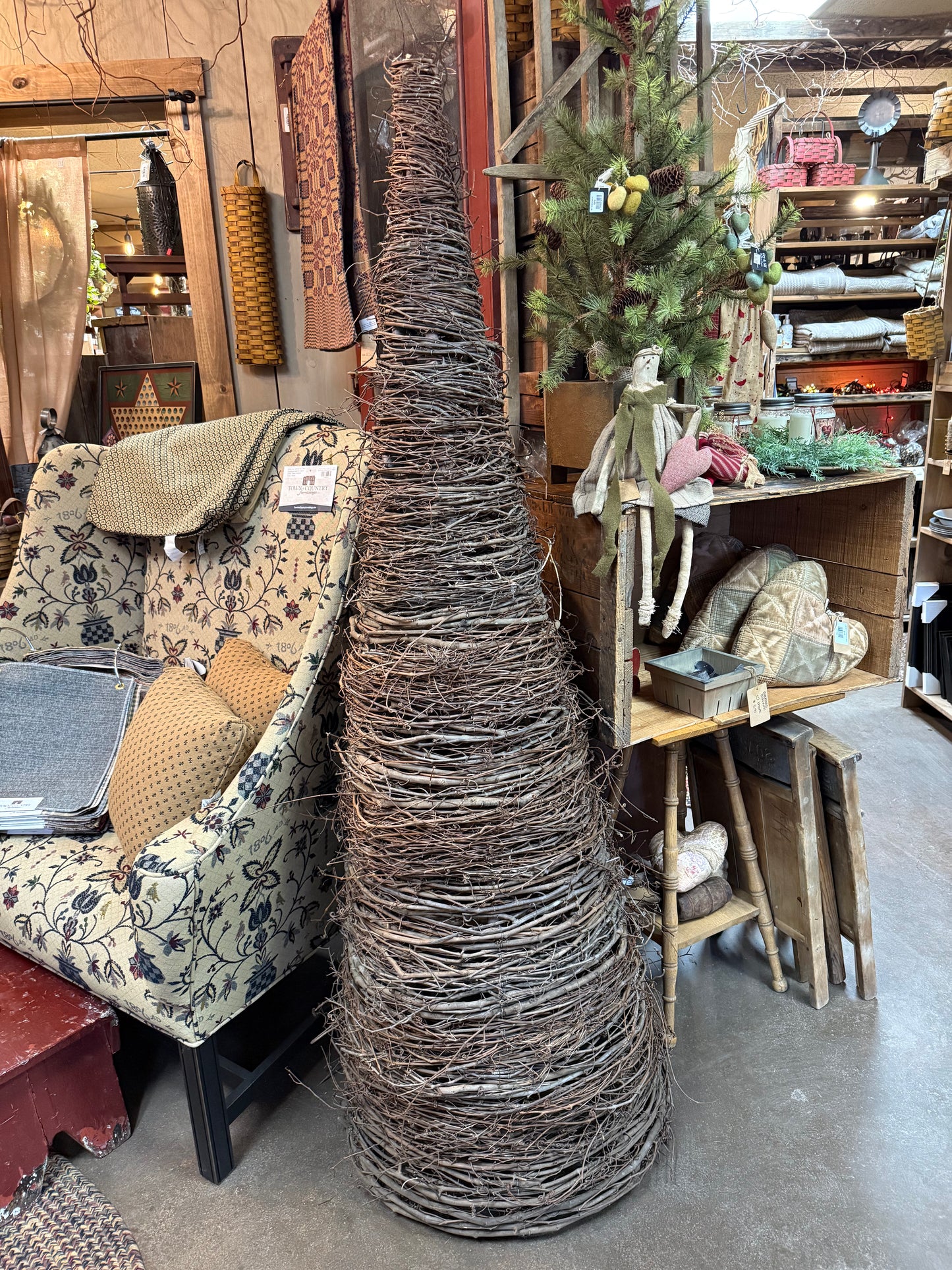 GRAPEVINE TREE, Small Vine, Local Pick Up Only