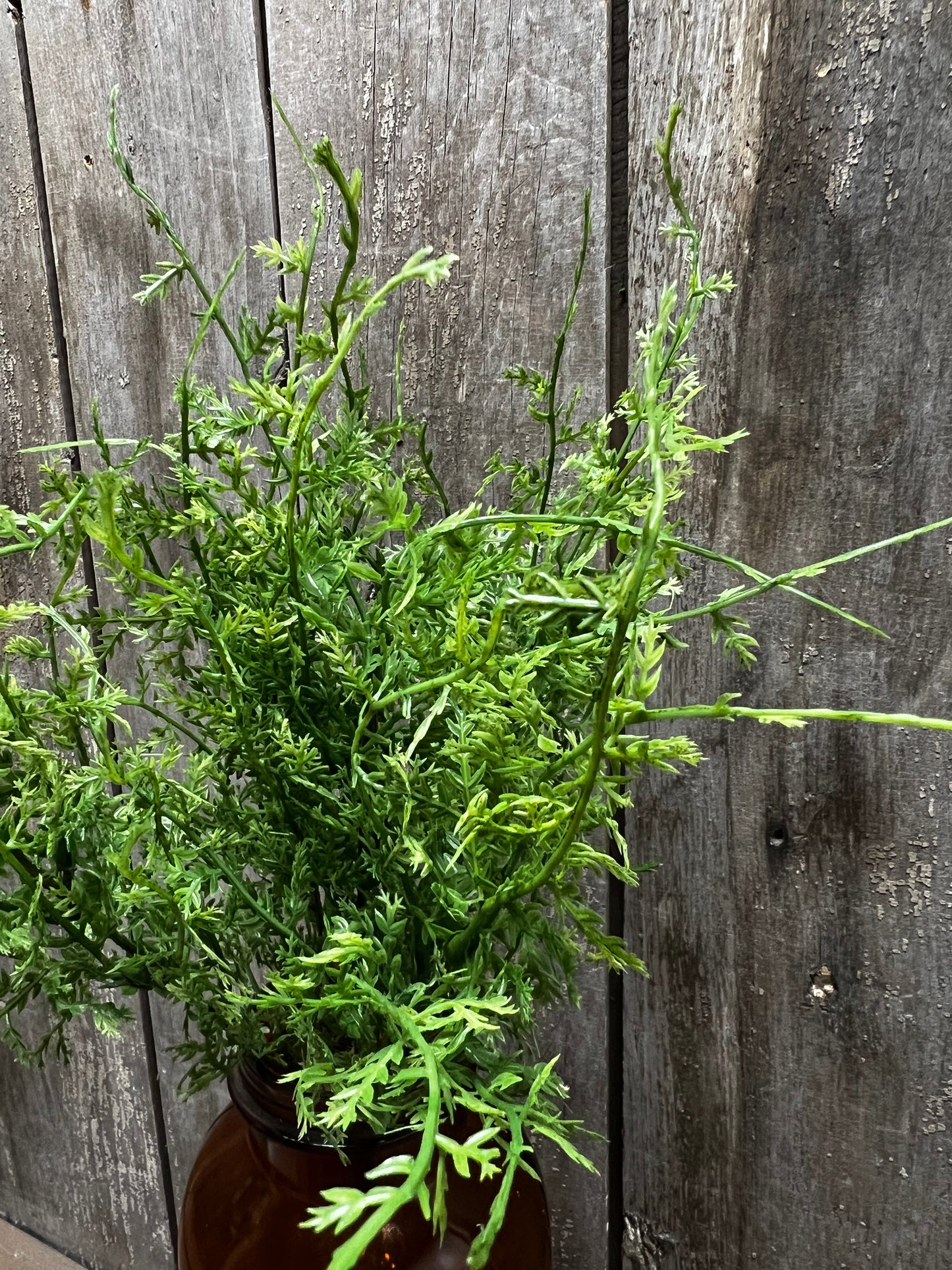 Bush, 14", FINE GRASS
