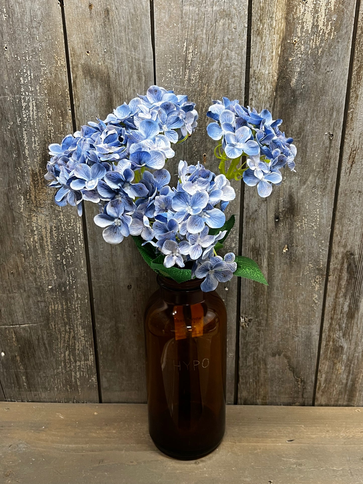 Bush, HYDRANGEA, WHITE or BLUE