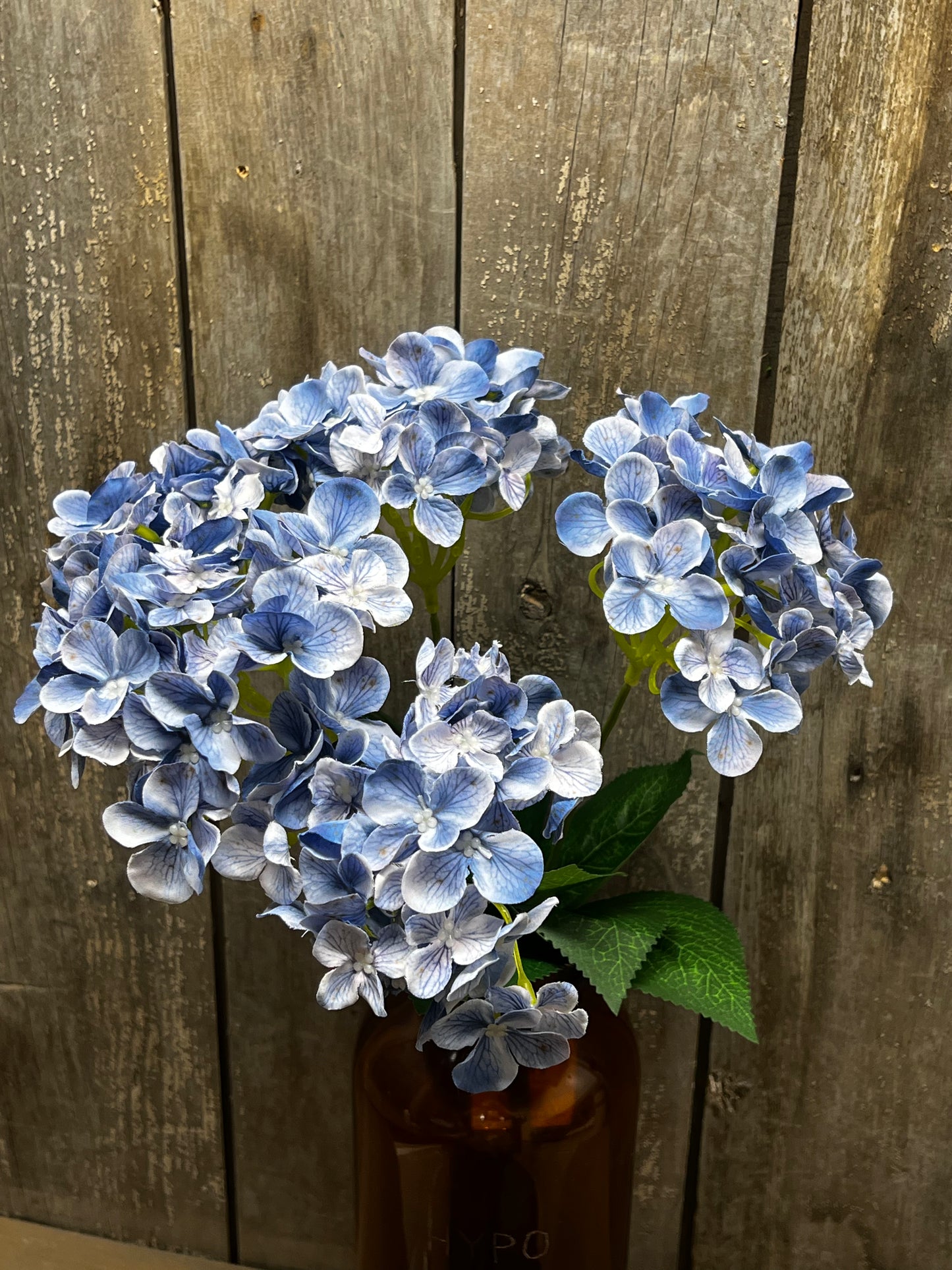 Bush, HYDRANGEA, WHITE or BLUE