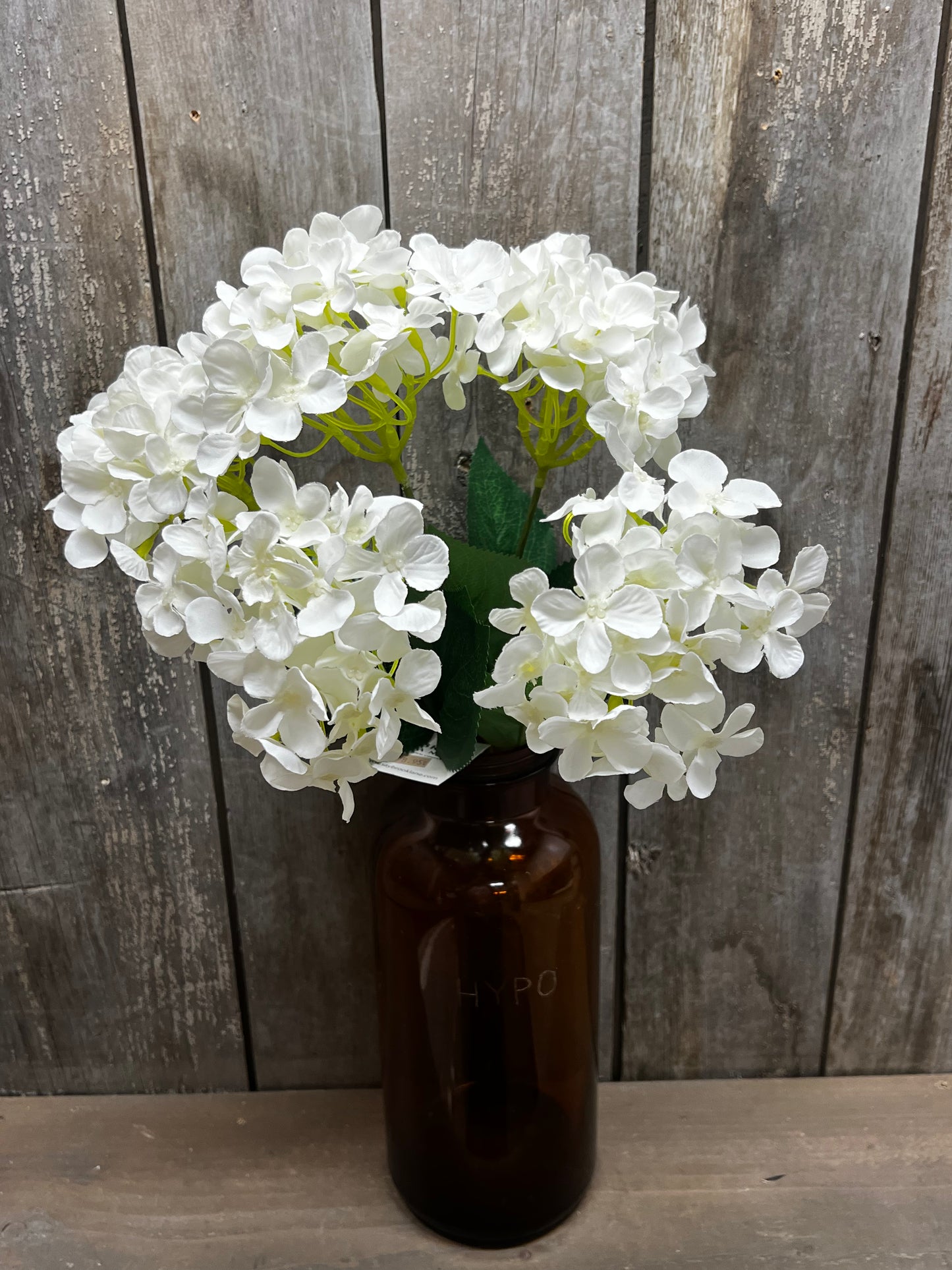 Bush, HYDRANGEA, WHITE or BLUE