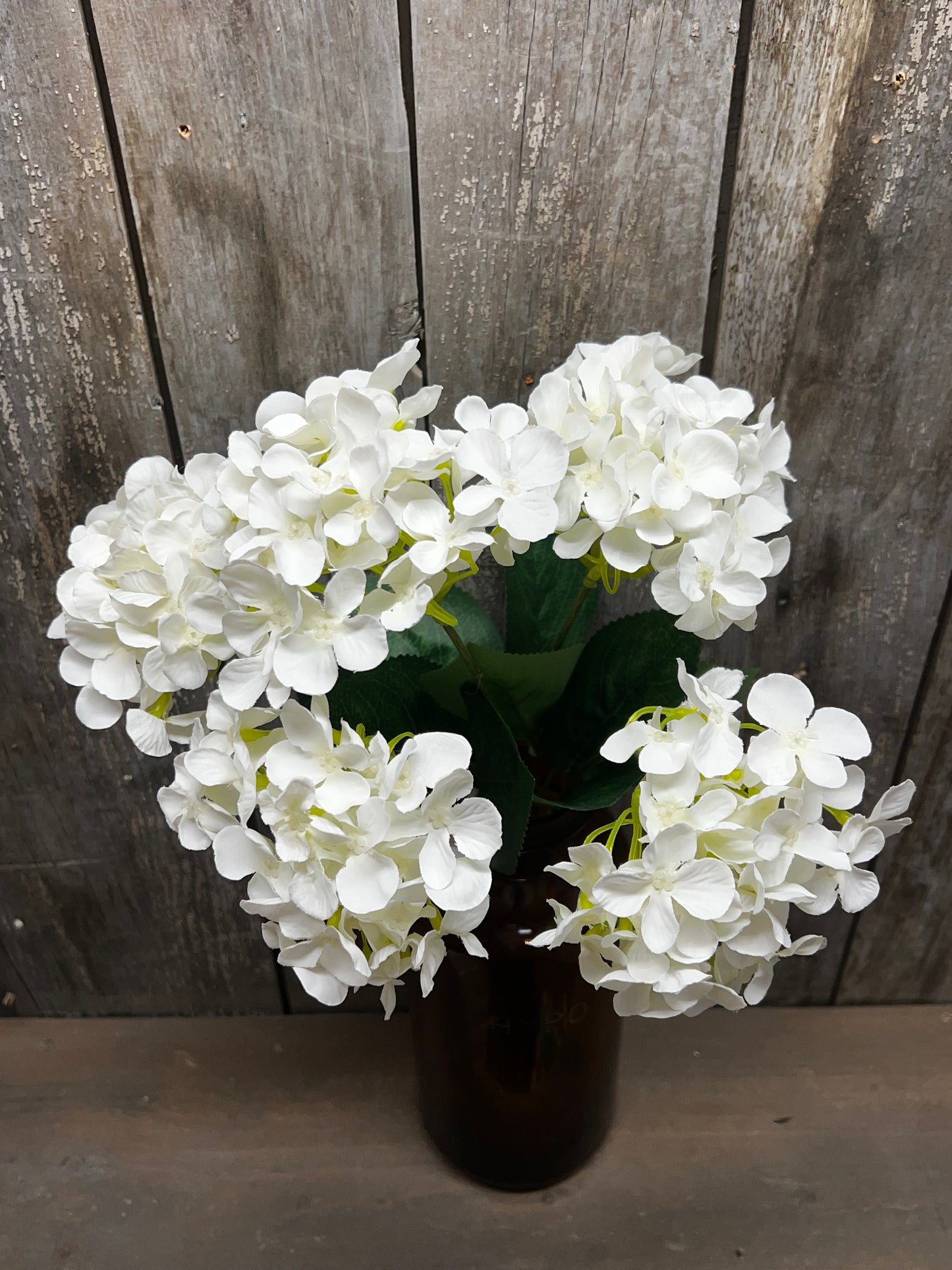 Bush, HYDRANGEA, WHITE or BLUE